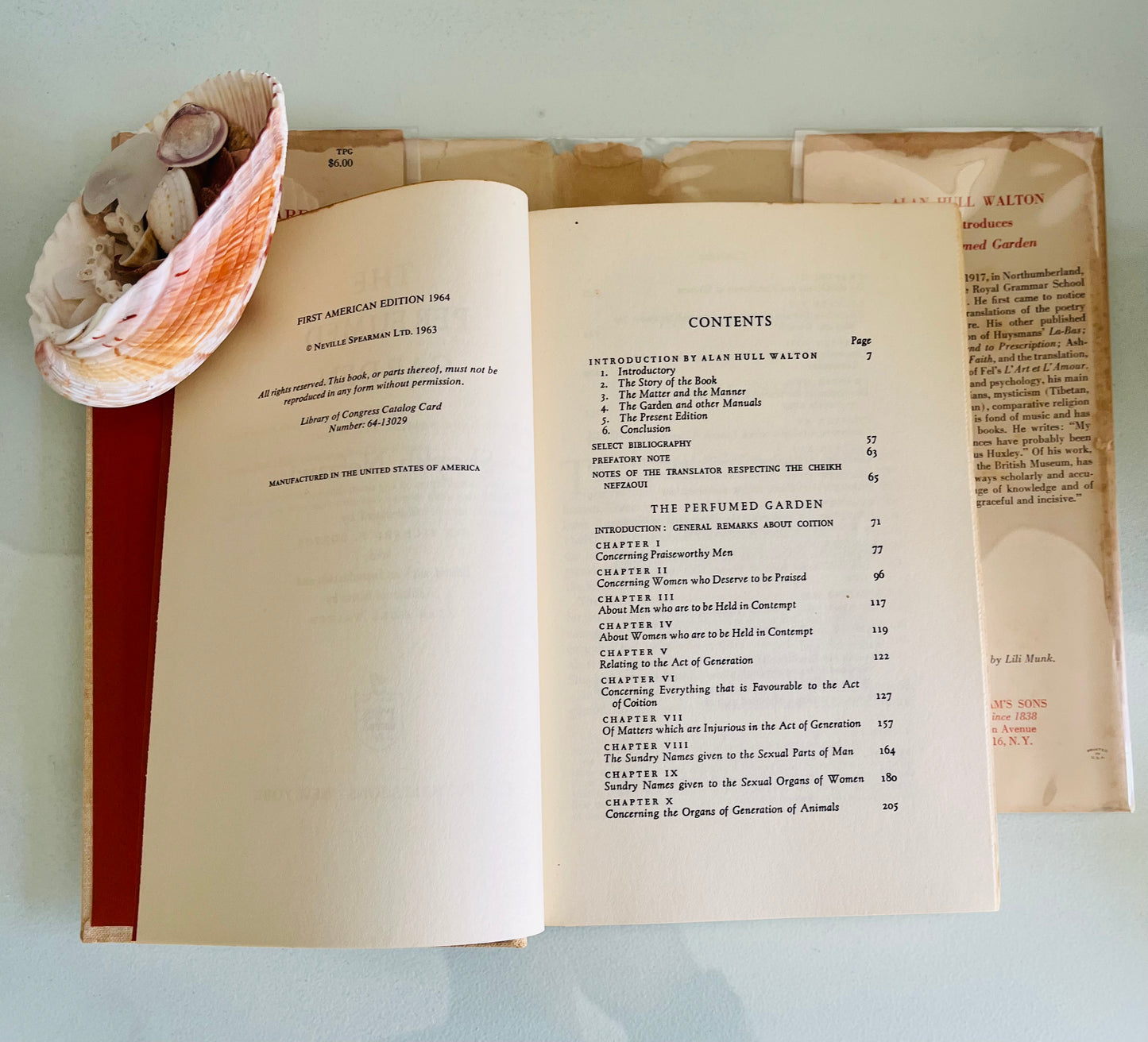 谢赫奈夫扎维的芳香花园