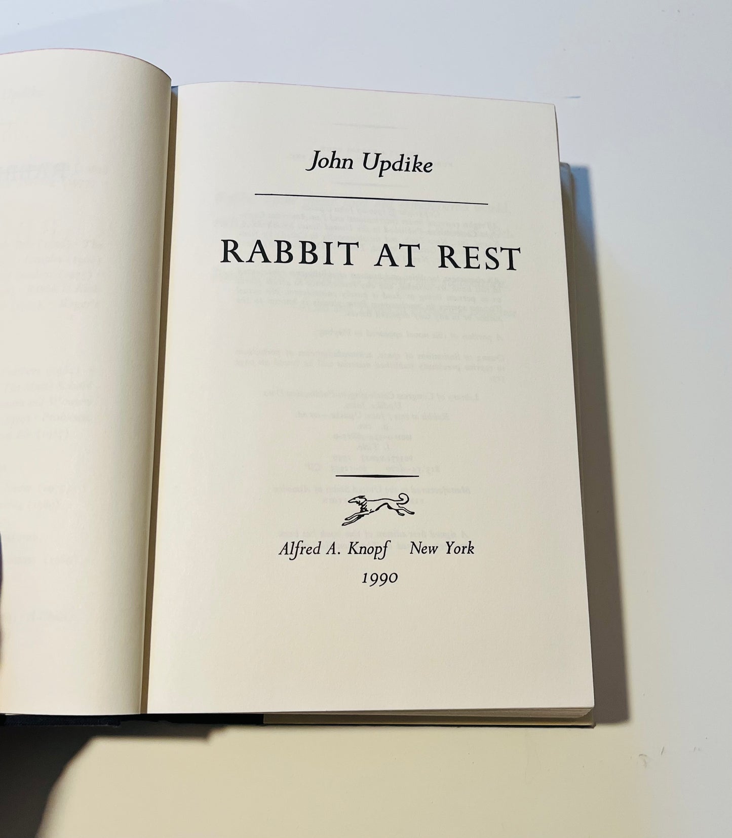 Rabbit at Rest