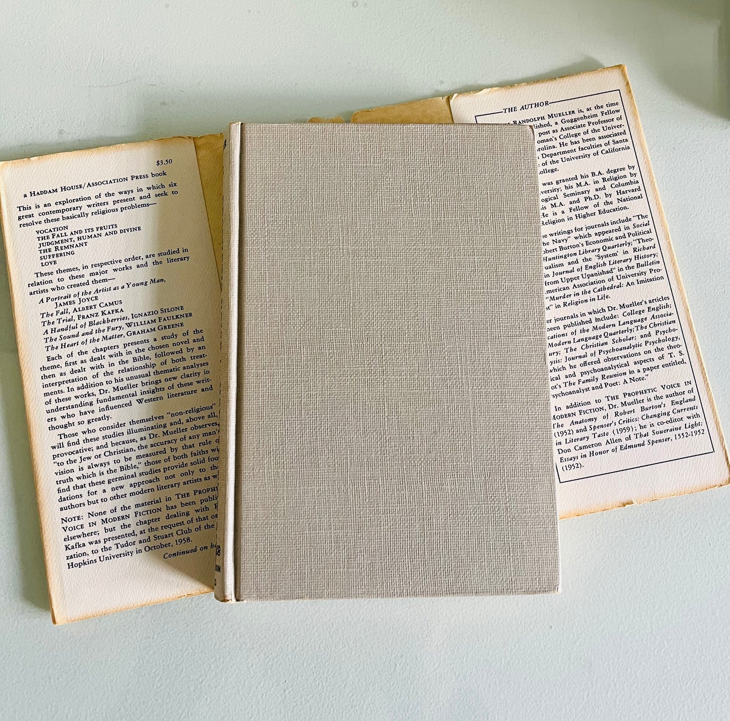 The Prophetic Voice in Modern Fiction