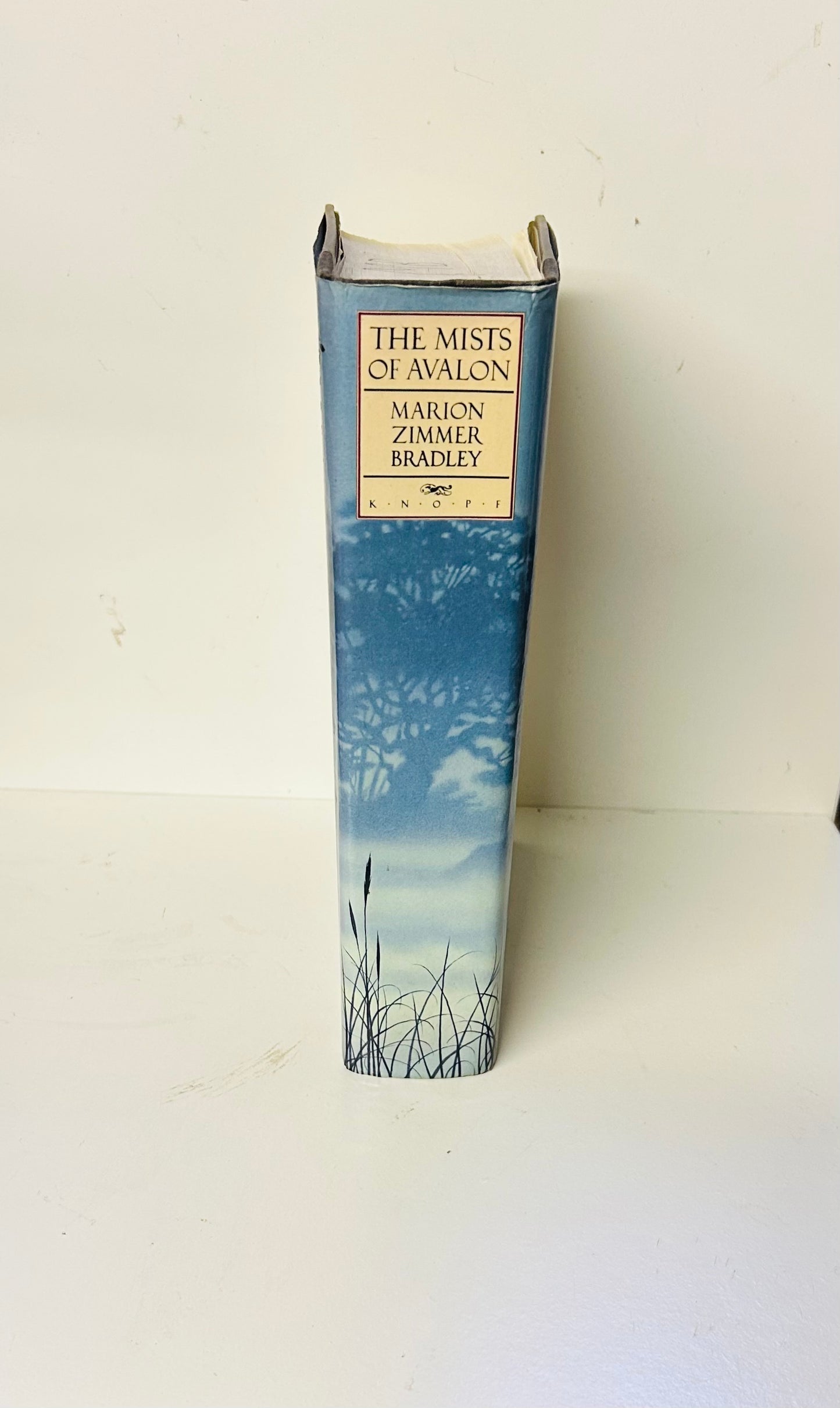 The Mists of Avalon