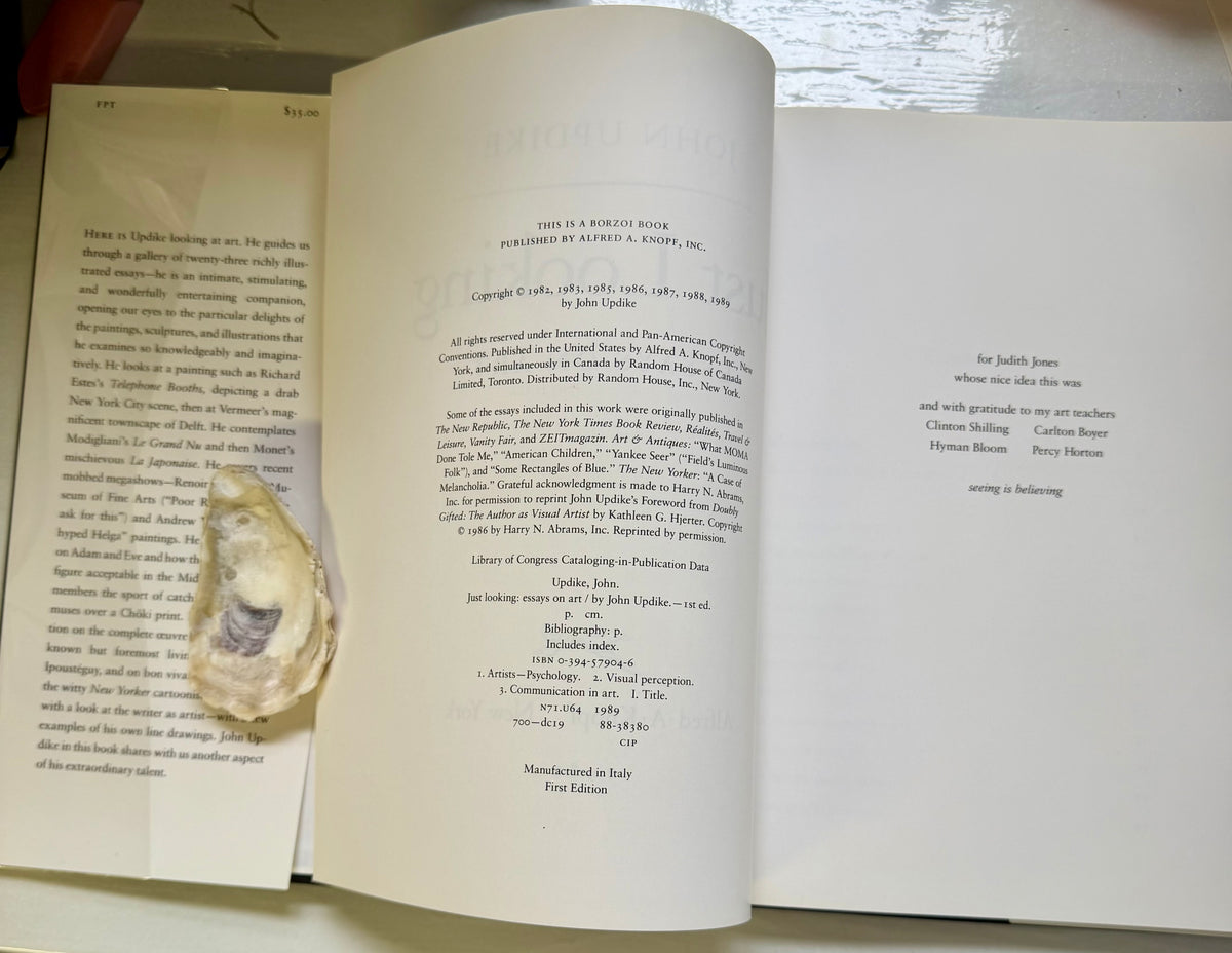 Just Looking: Essays on Art