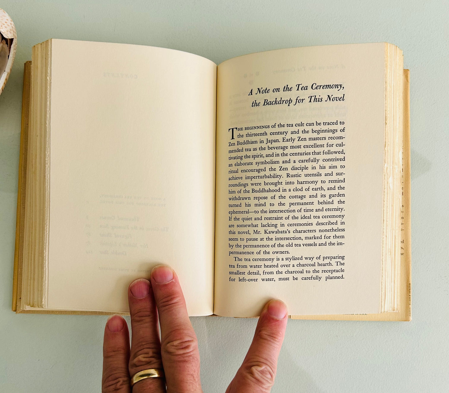 Snow Country and Thousand Cranes