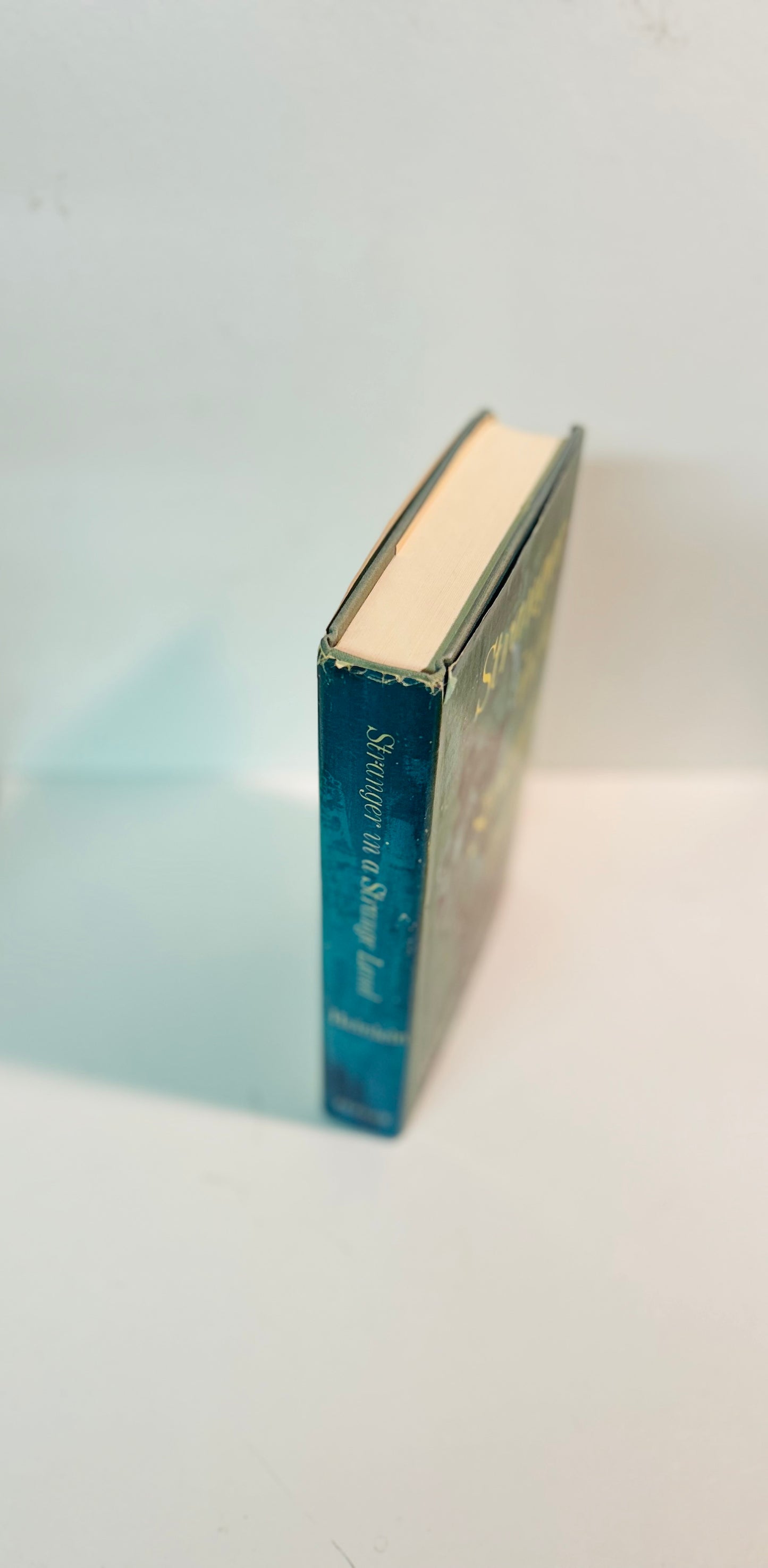 Stranger in Strange Land