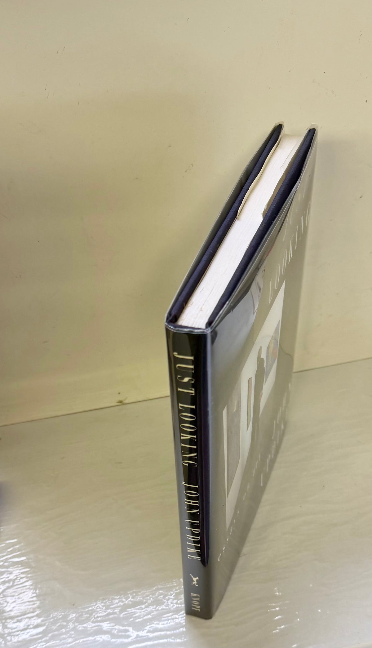 Just Looking: Essays on Art
