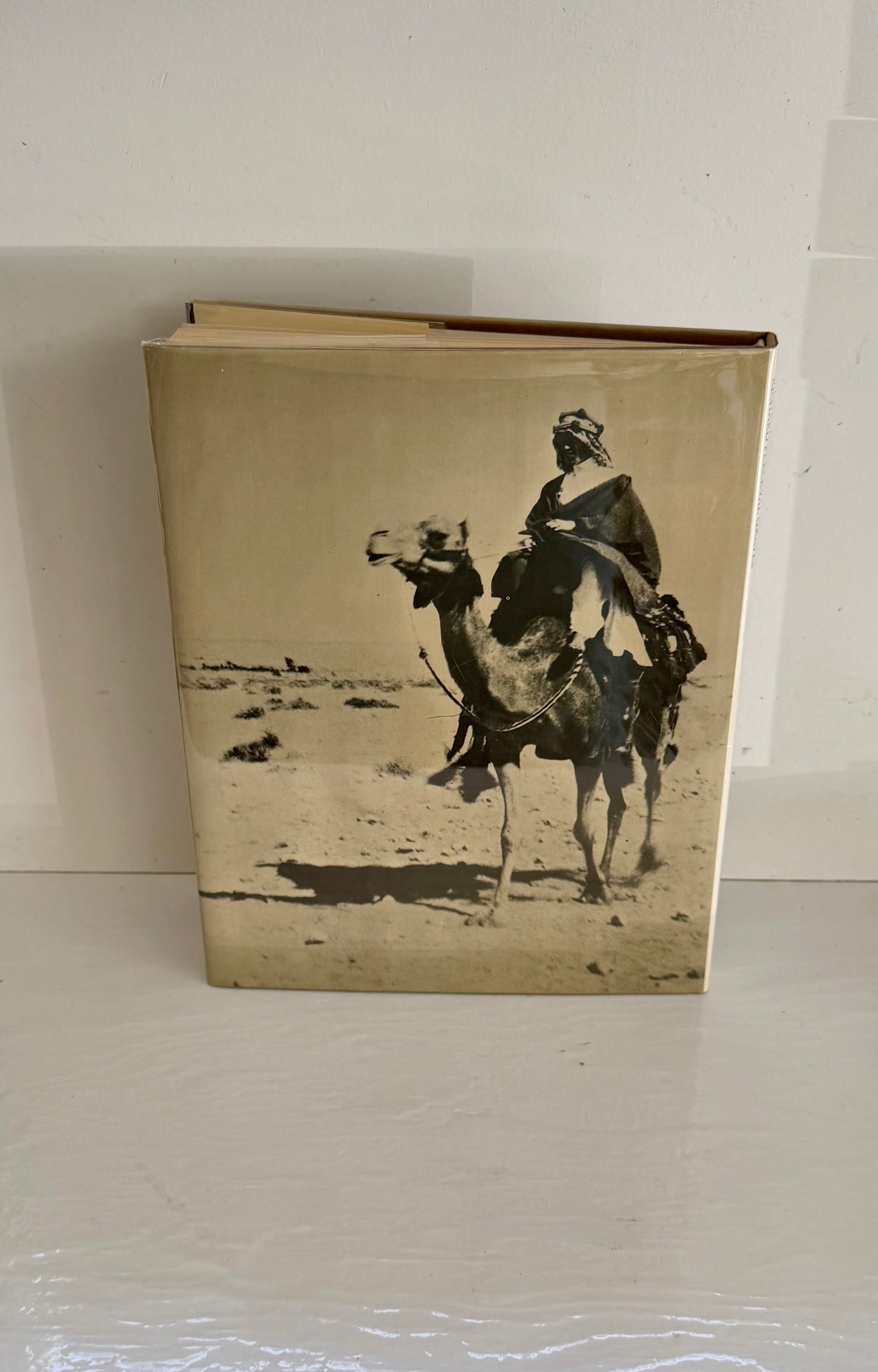 Lawrence of Arabia and his World