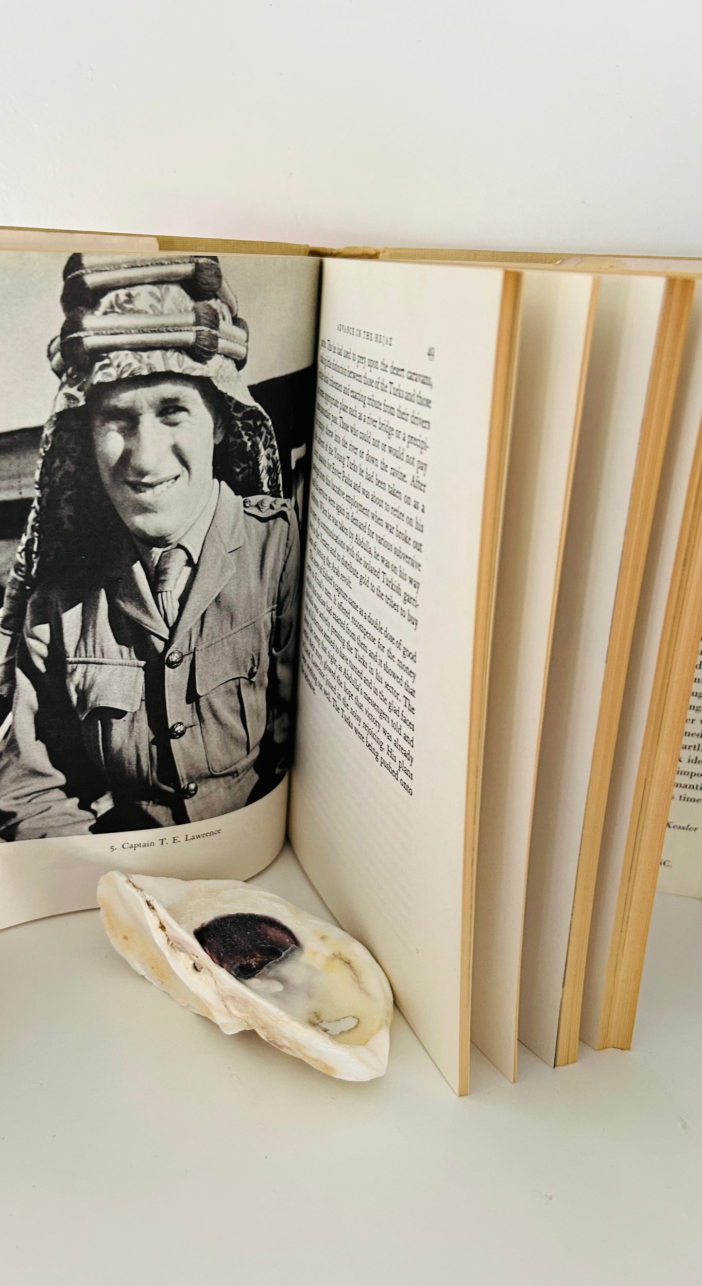 Lawrence of Arabia: The Man and the Motive