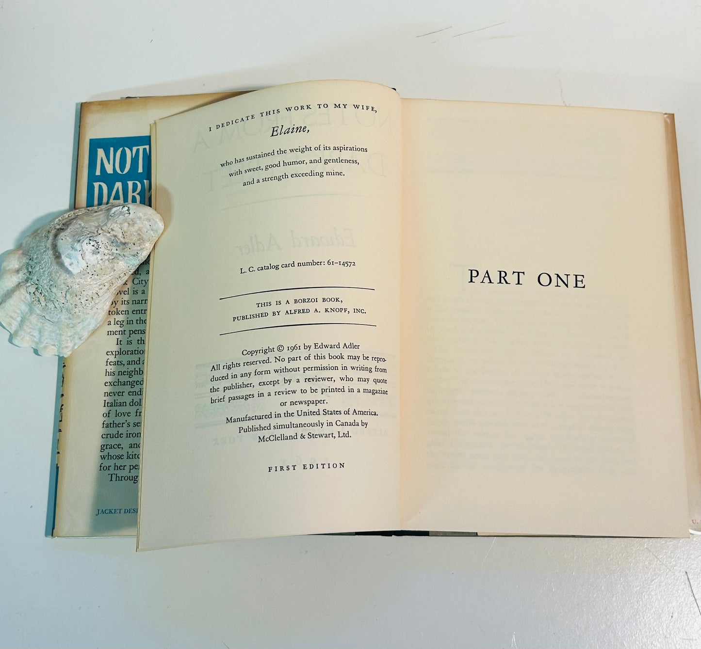 Notes From a Dark Street