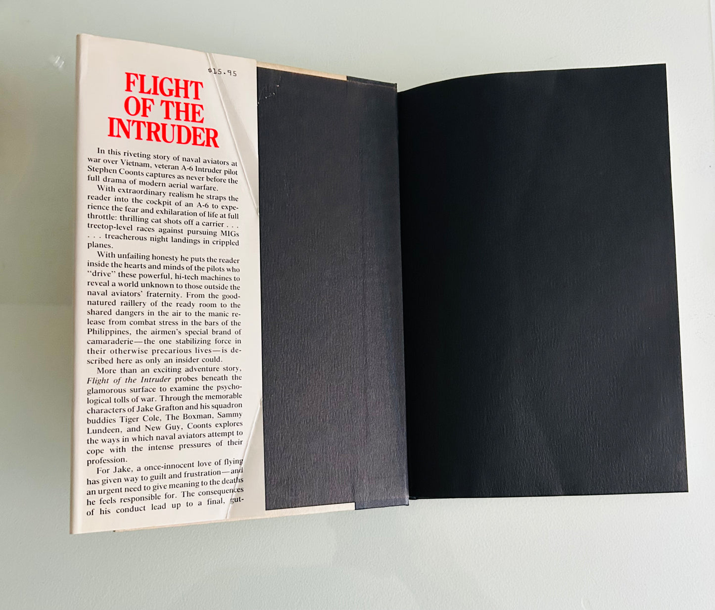 Flight of the Intruder