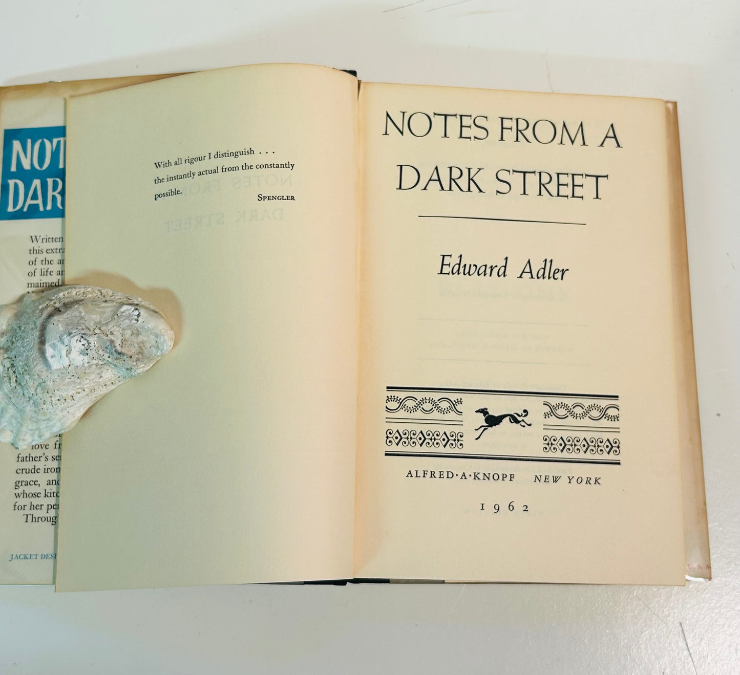 Notes From a Dark Street