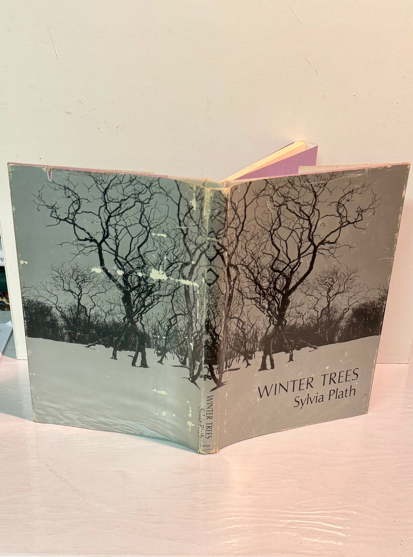 The Winter Trees