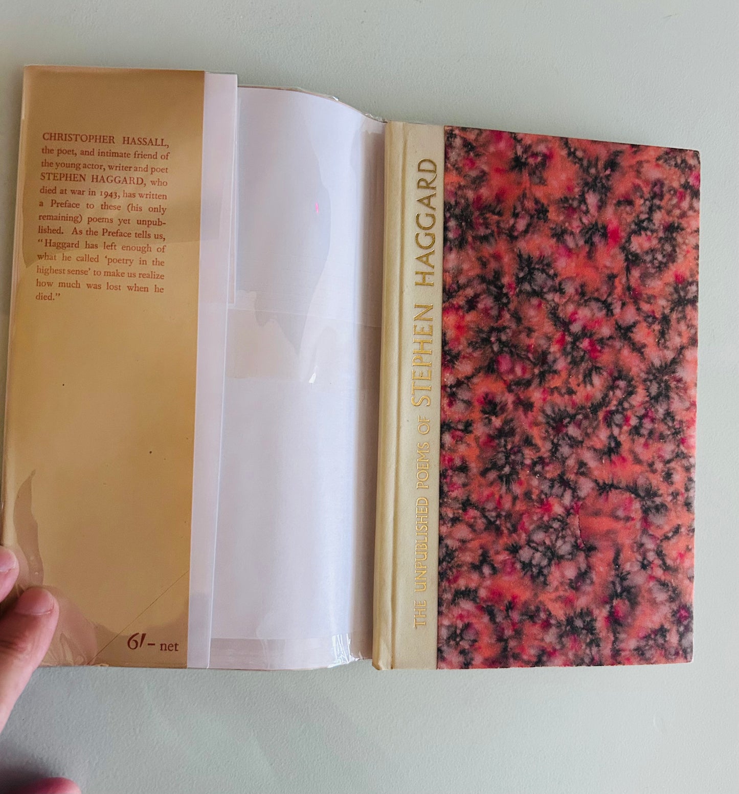 The Unpublished Poems of Stephen Haggard