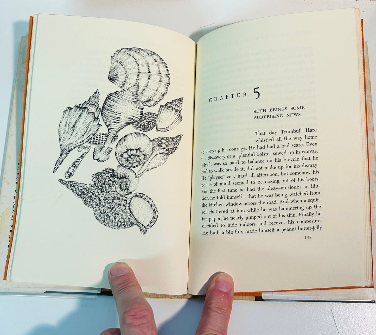 Miss Pickthorn and Mr. Hare