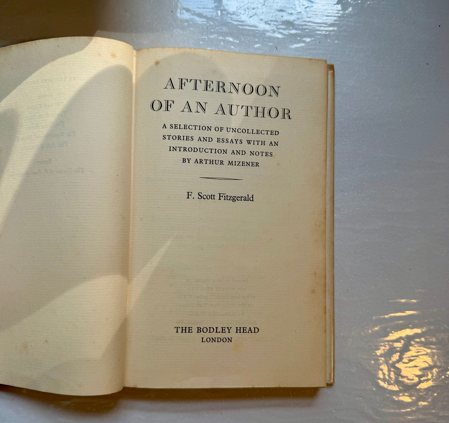 Afternoon of an Author