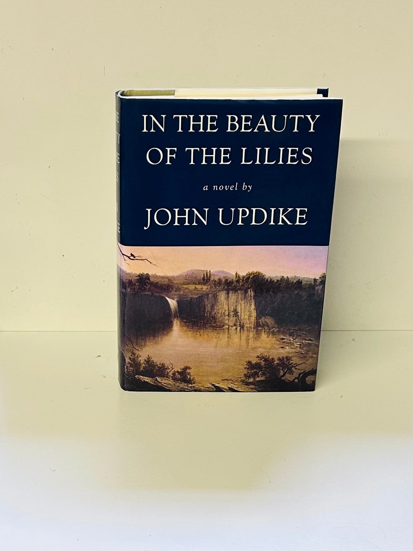 In the Beauty of the Lilies