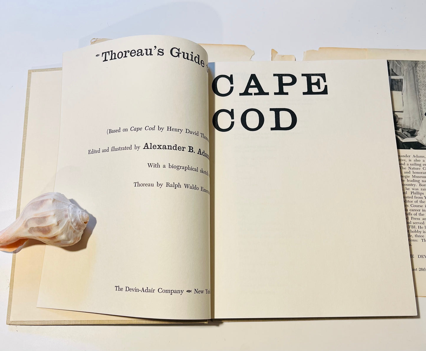 Thoreau's Guide to Cape Cod