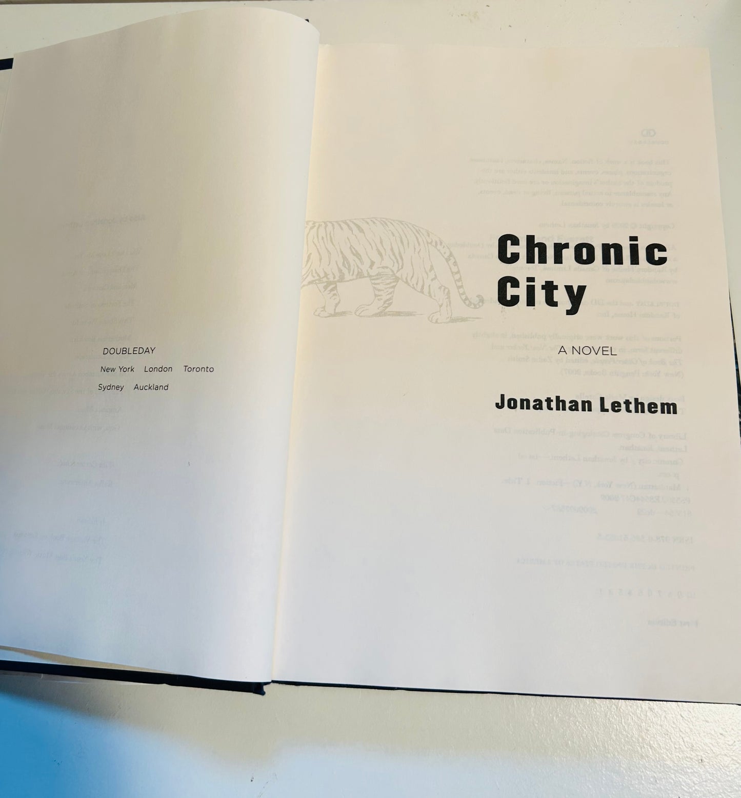 Chronic City