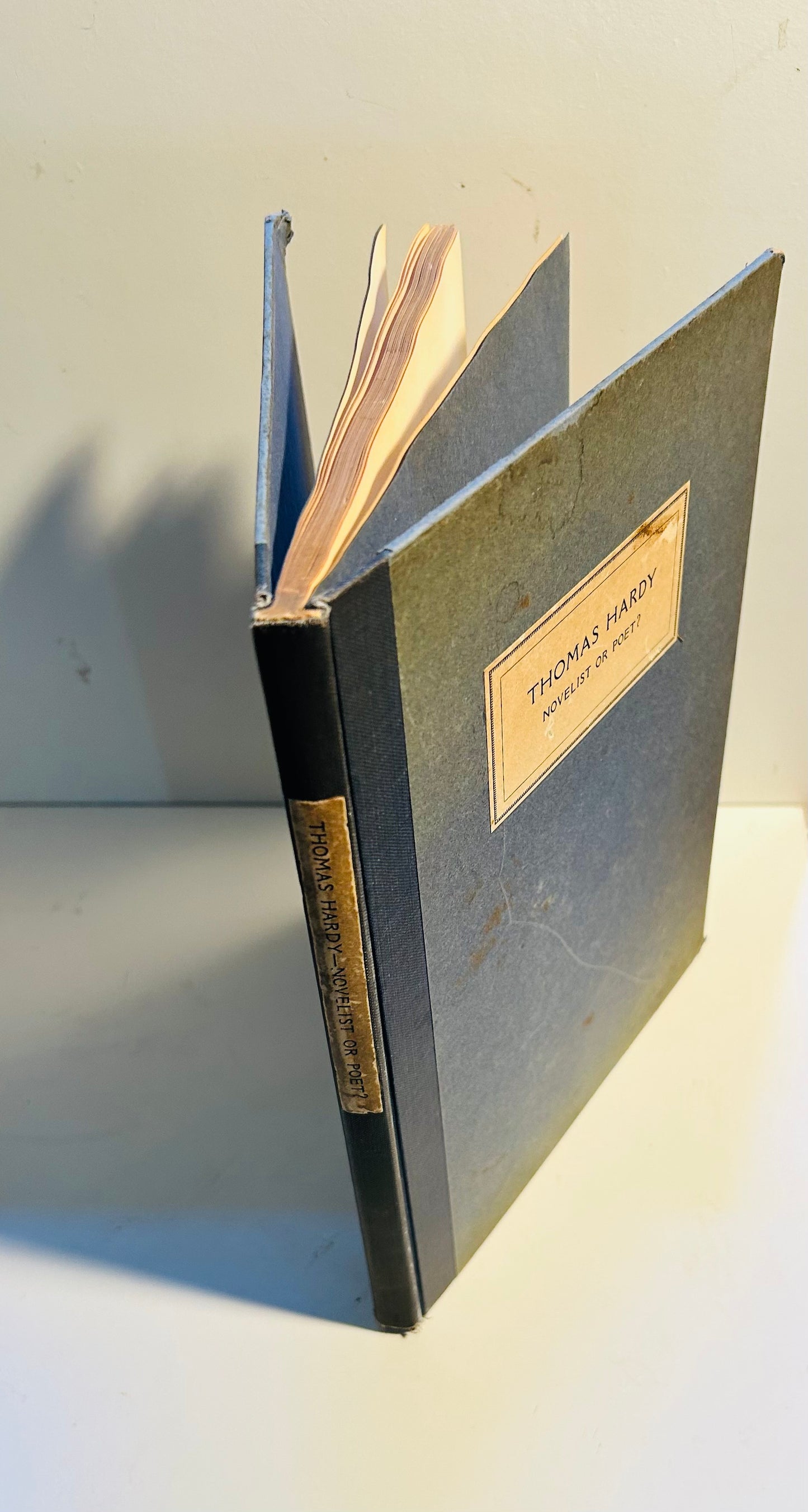 Thomas Hardy: Novelist or Poet?
