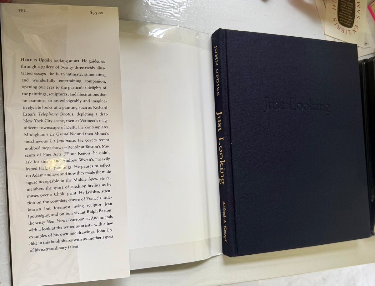 Just Looking: Essays on Art