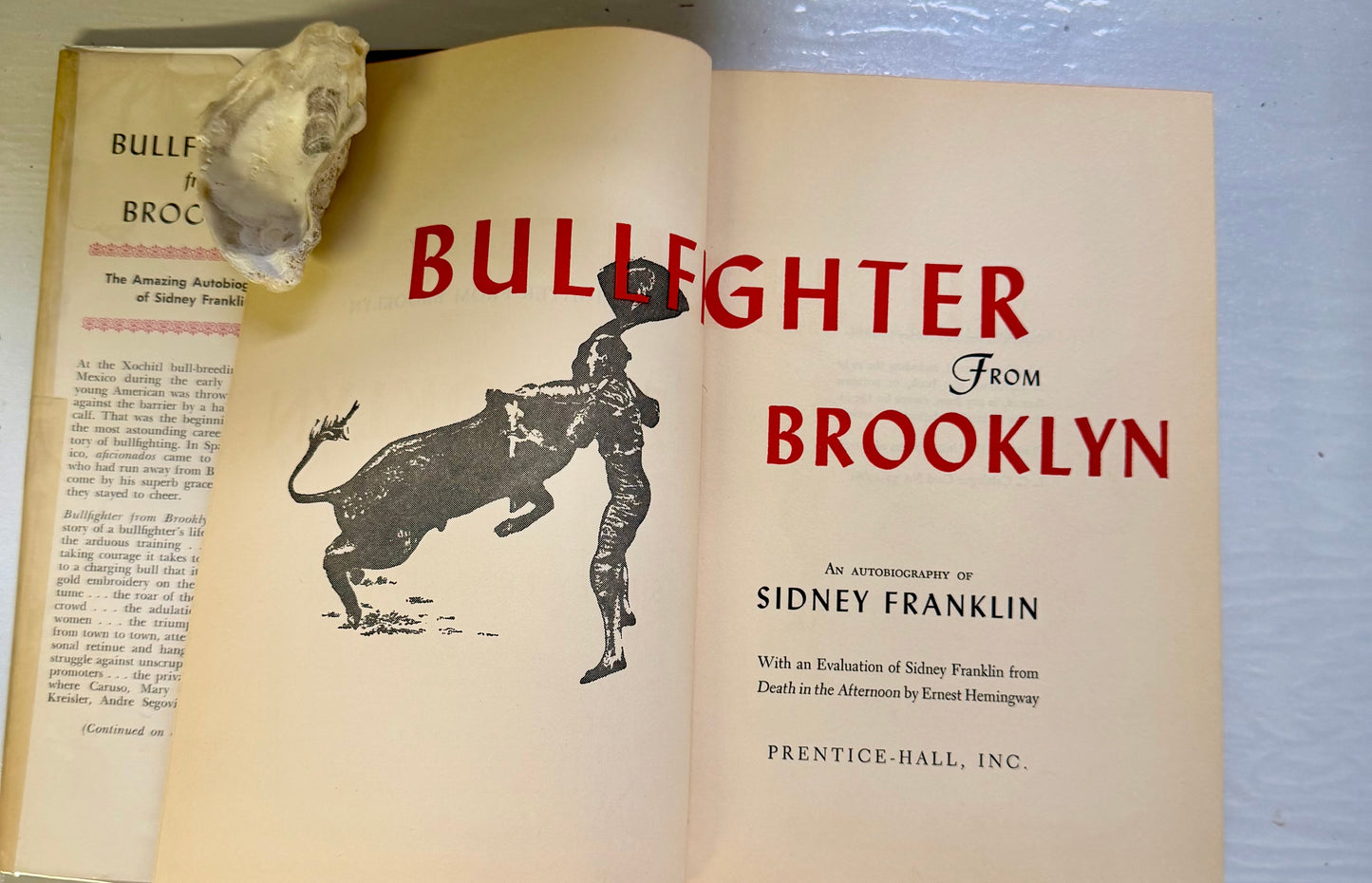 Bullfighter from Brooklyn