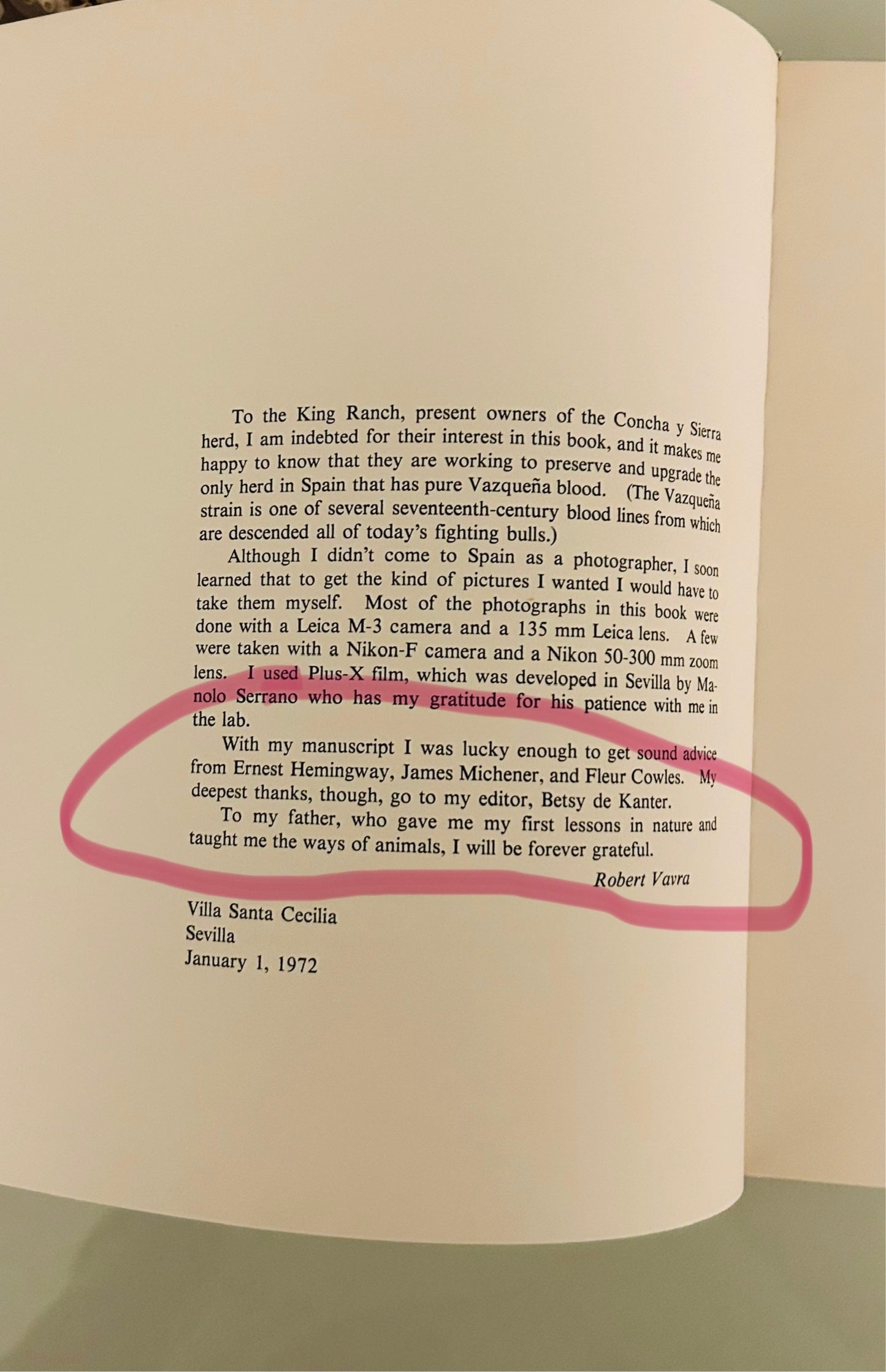 Bulls of Iberia: Life and Death of the Fighting Bull