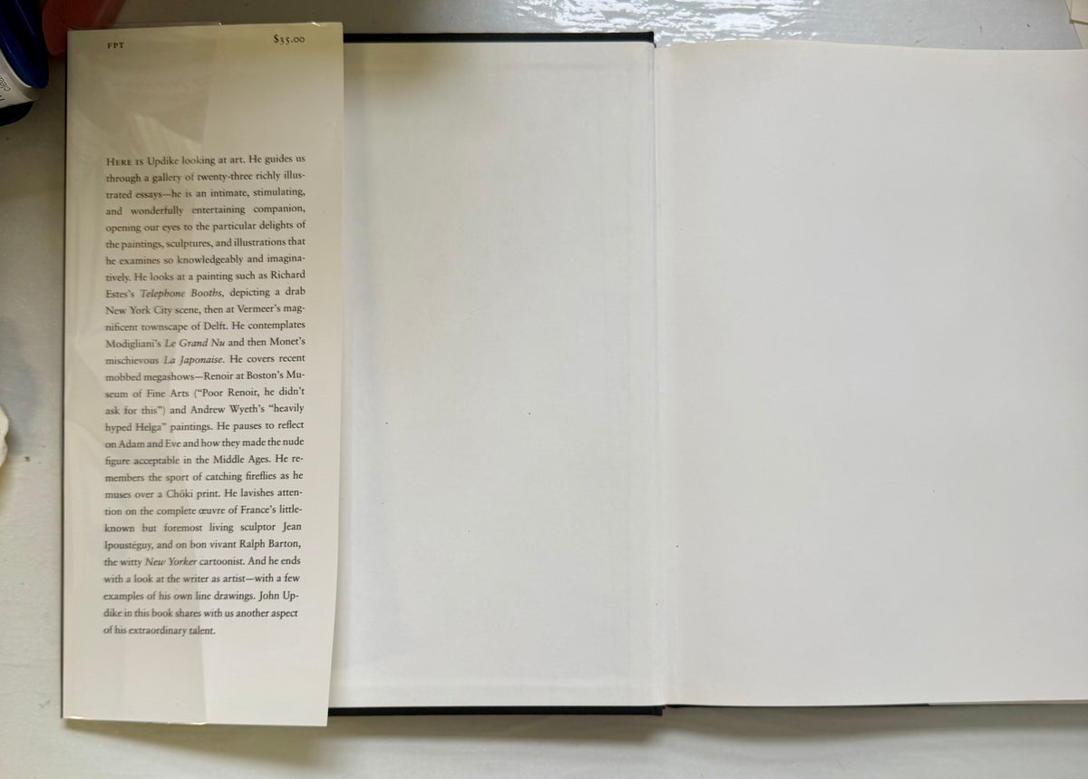 Just Looking: Essays on Art