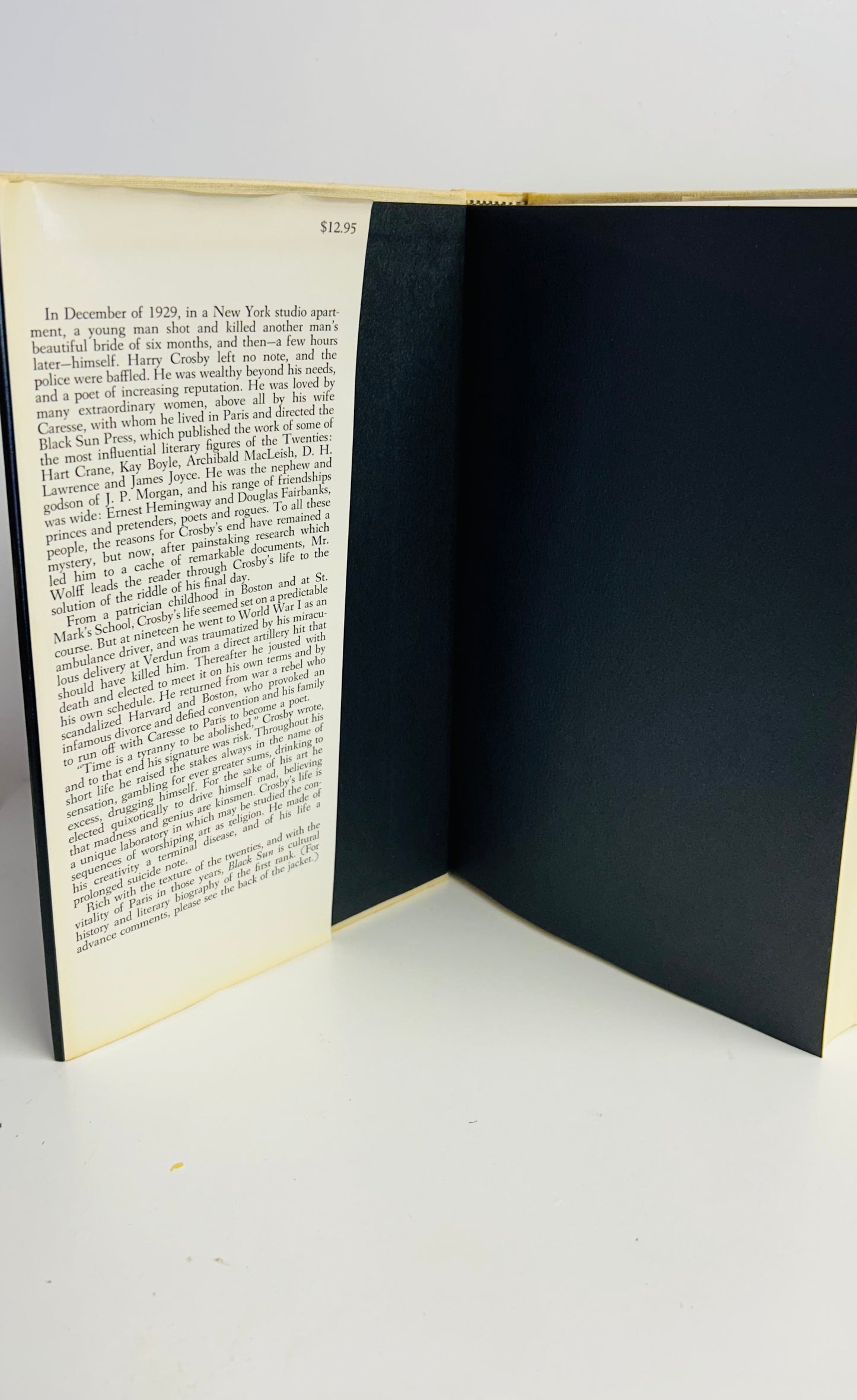 Black Sun: The Brief Transit and Violet Eclipse  of Harry Crosby