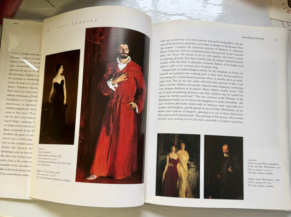 Just Looking: Essays on Art