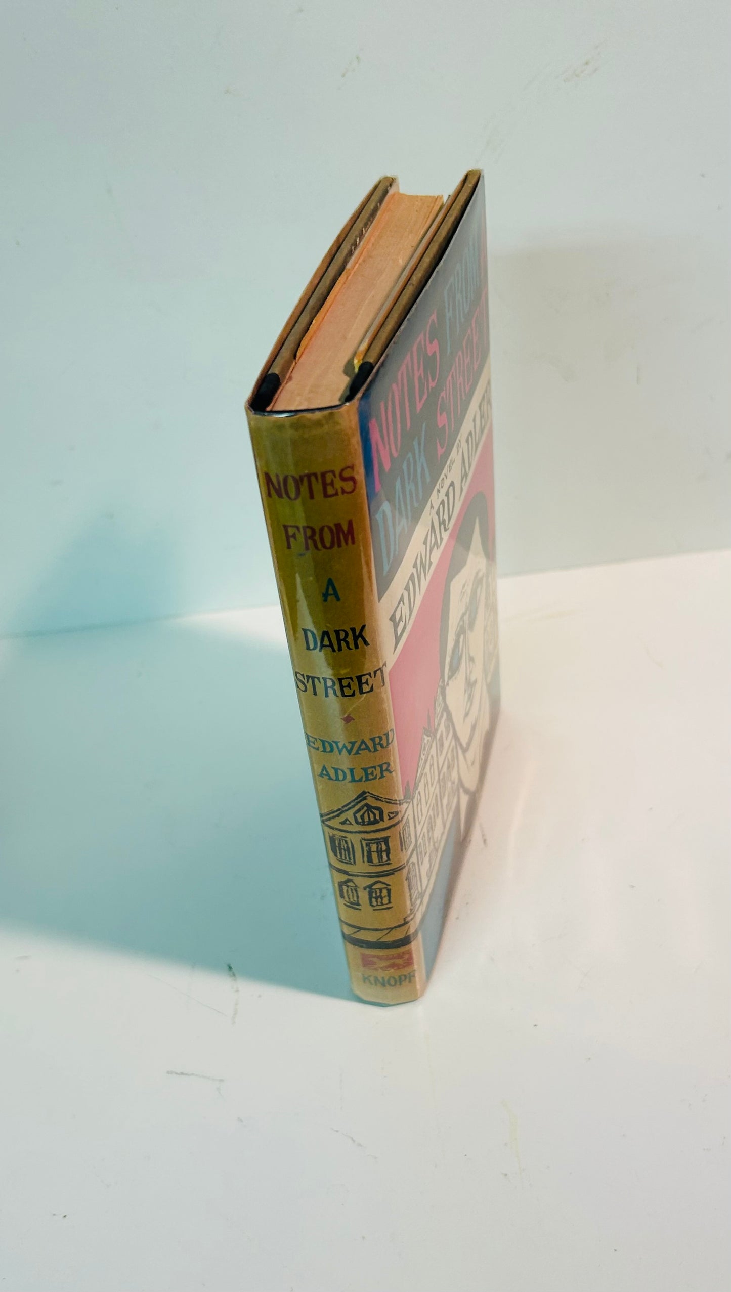 Notes From a Dark Street