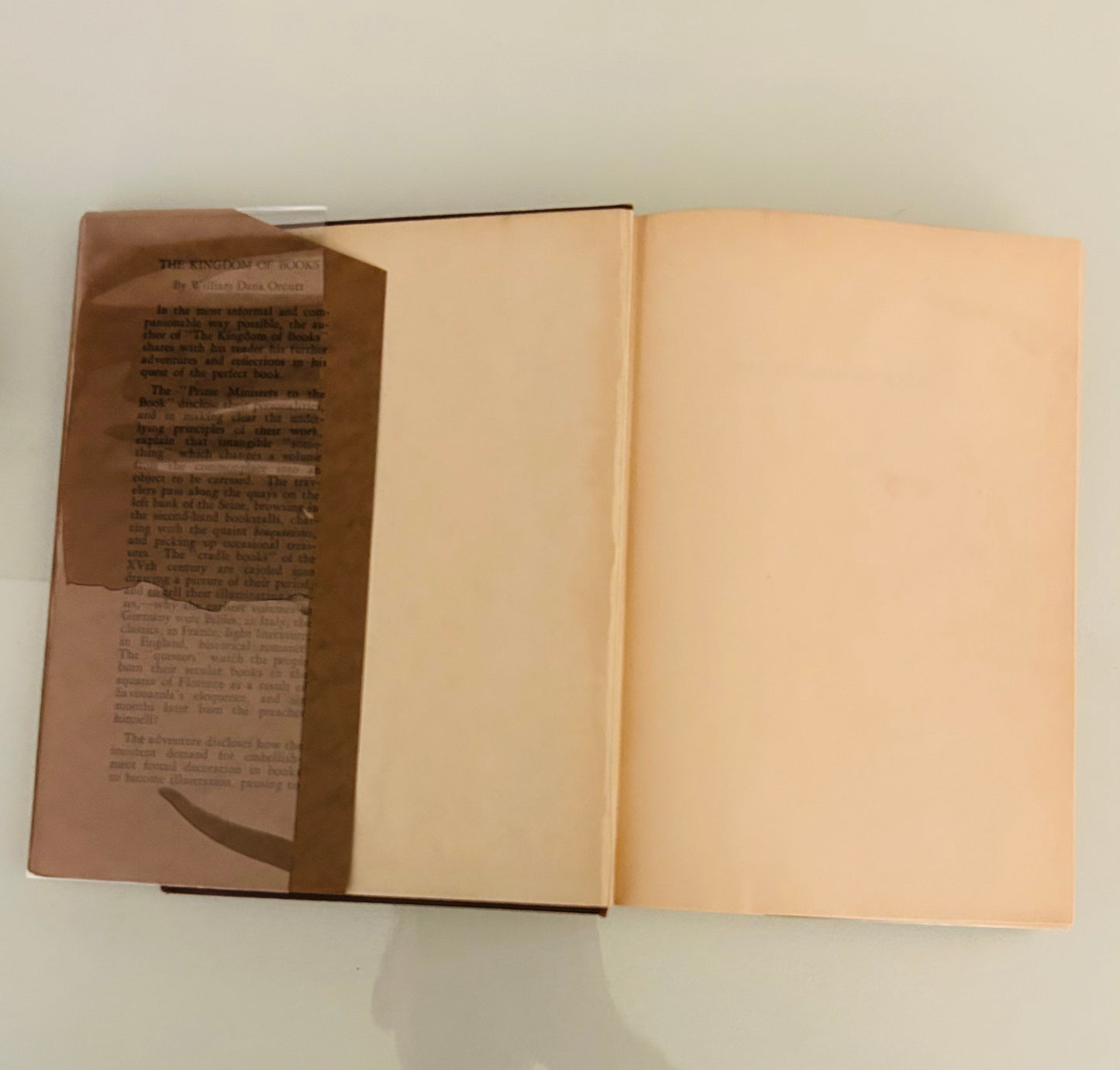 The Kingdom of Books