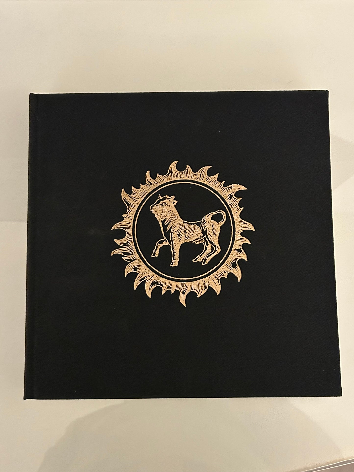 Bulls of Iberia: Life and Death of the Fighting Bull