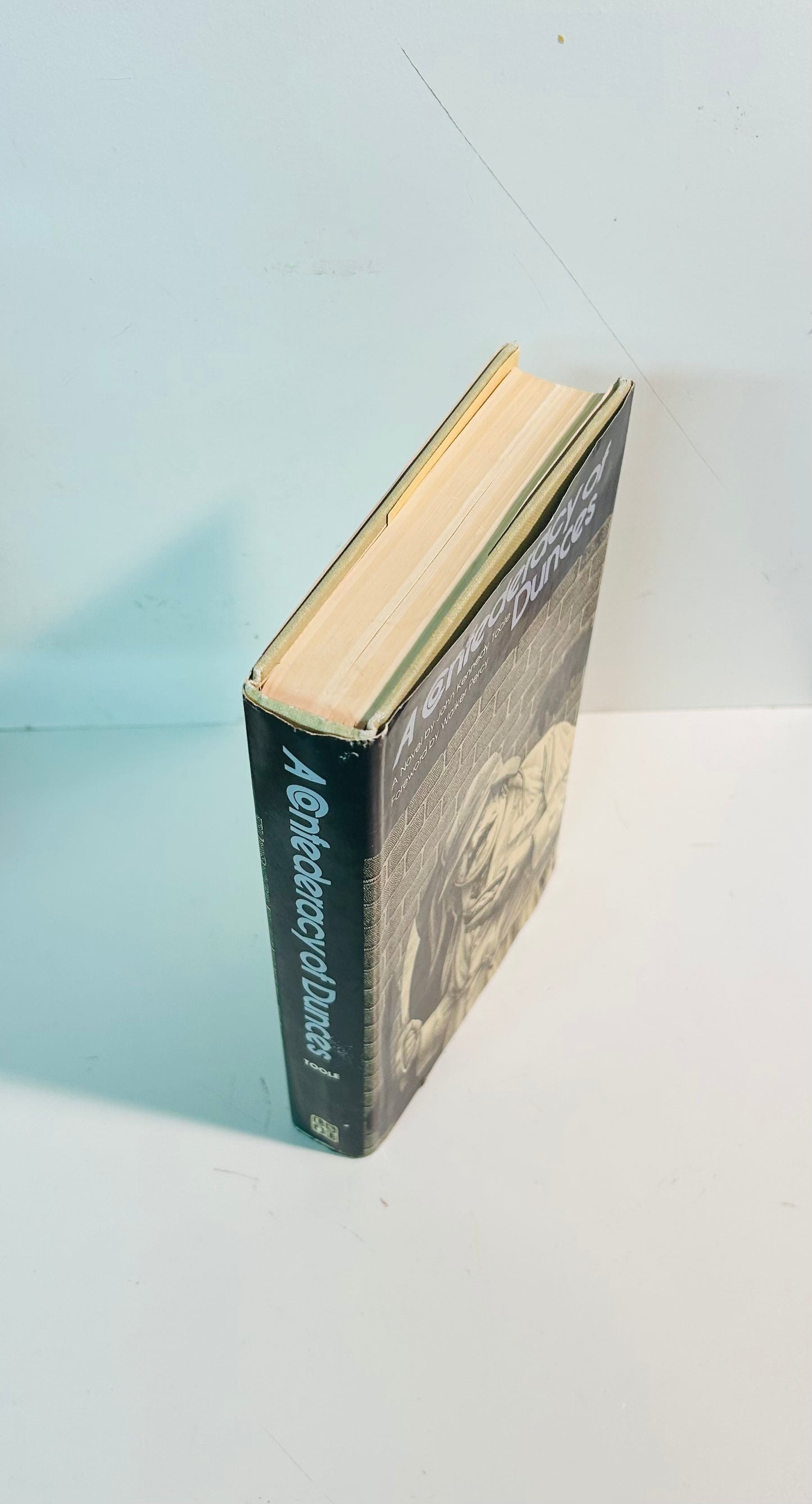 A Confederacy of Dunces