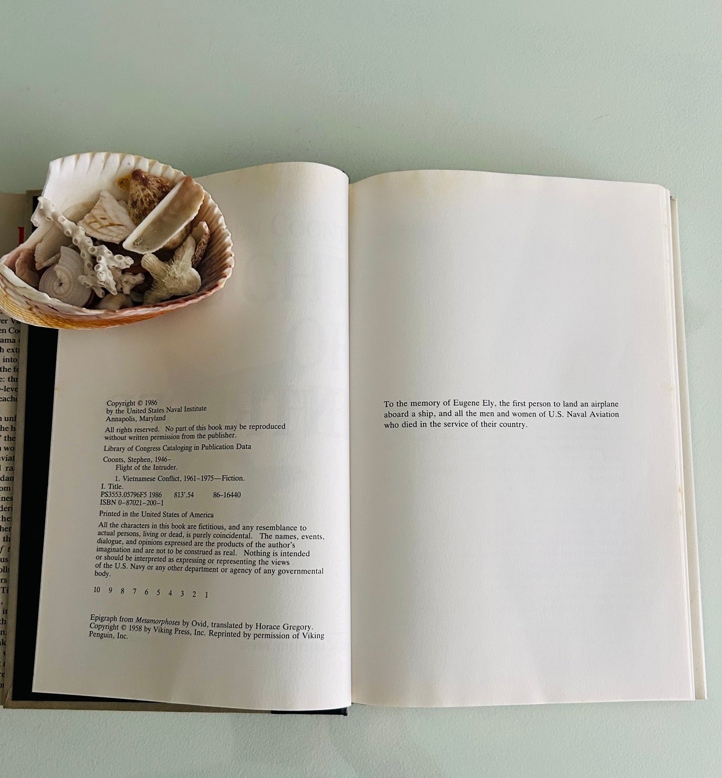 Flight of the Intruder