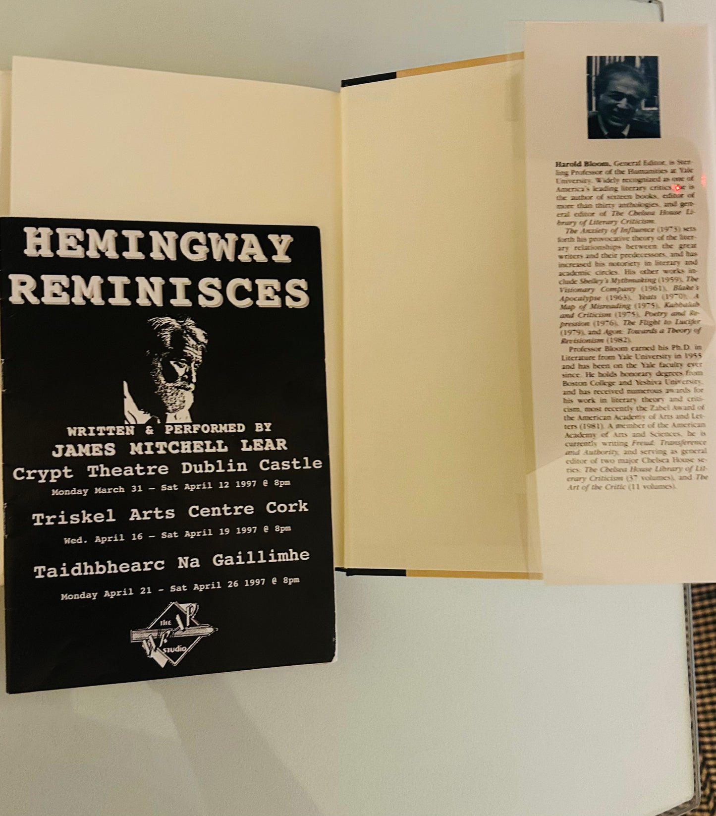 Modern Critical Views: Ernest Hemingway