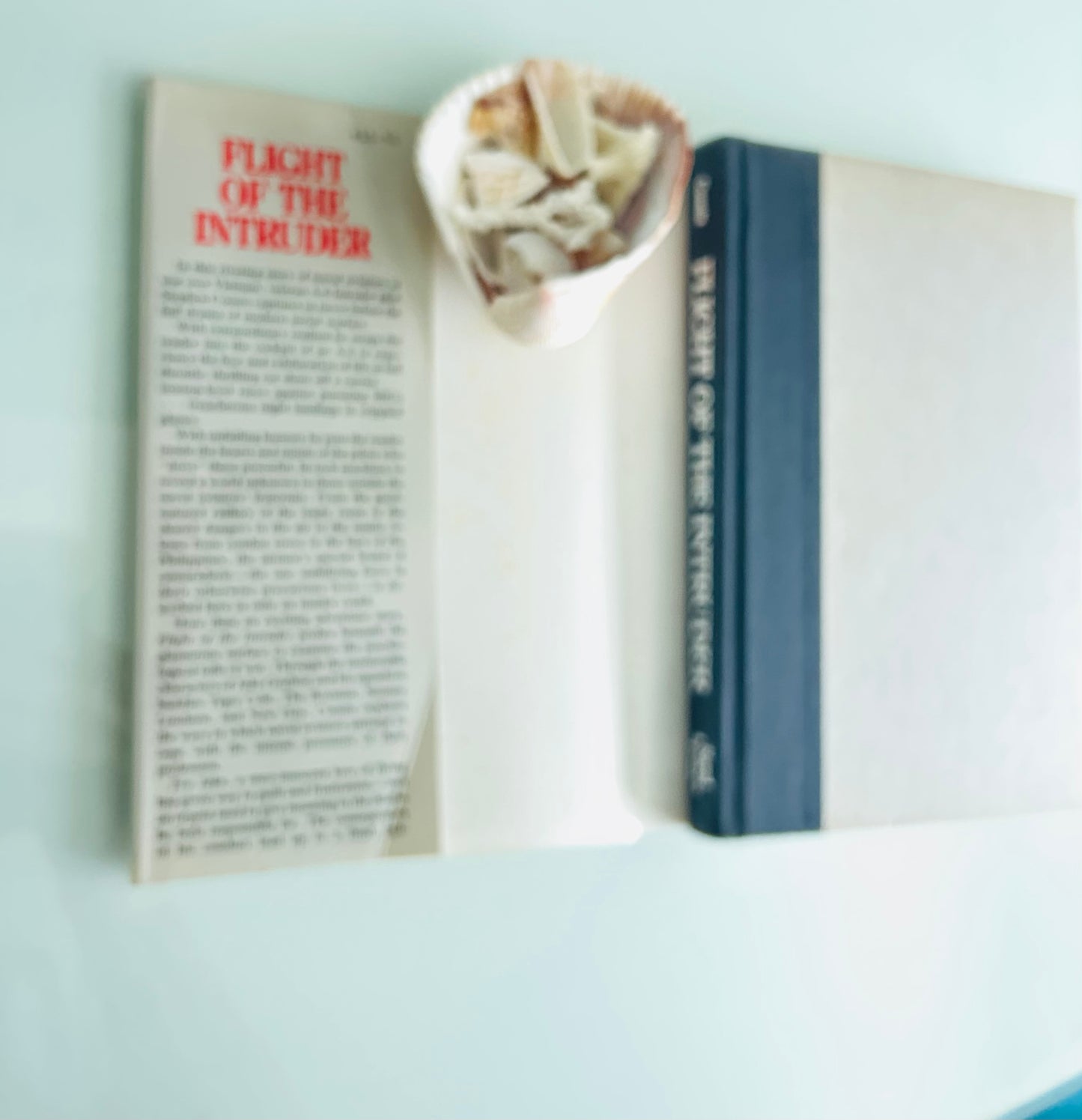 Flight of the Intruder