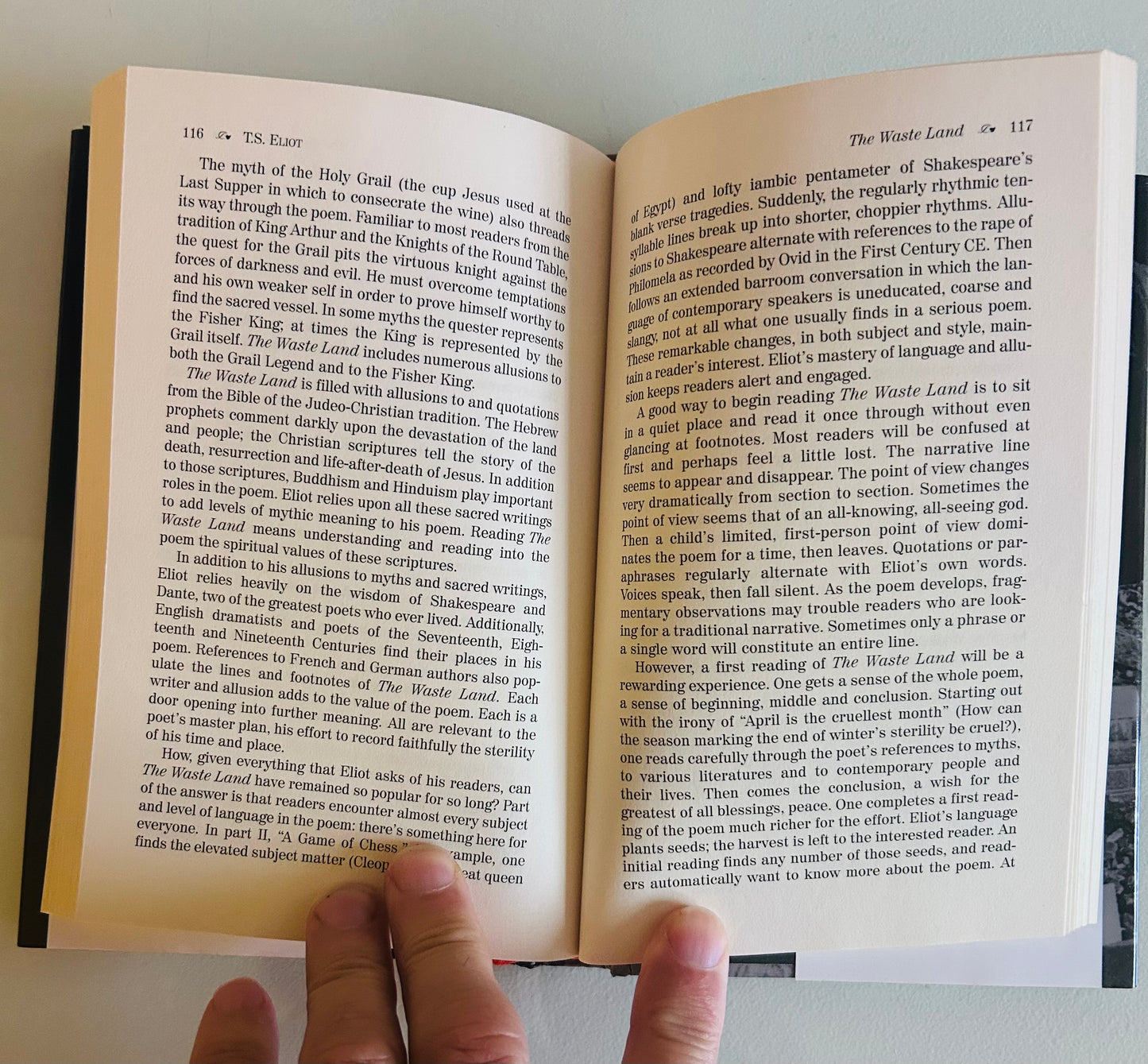 The Waste Land, Prufrock and Other Observations