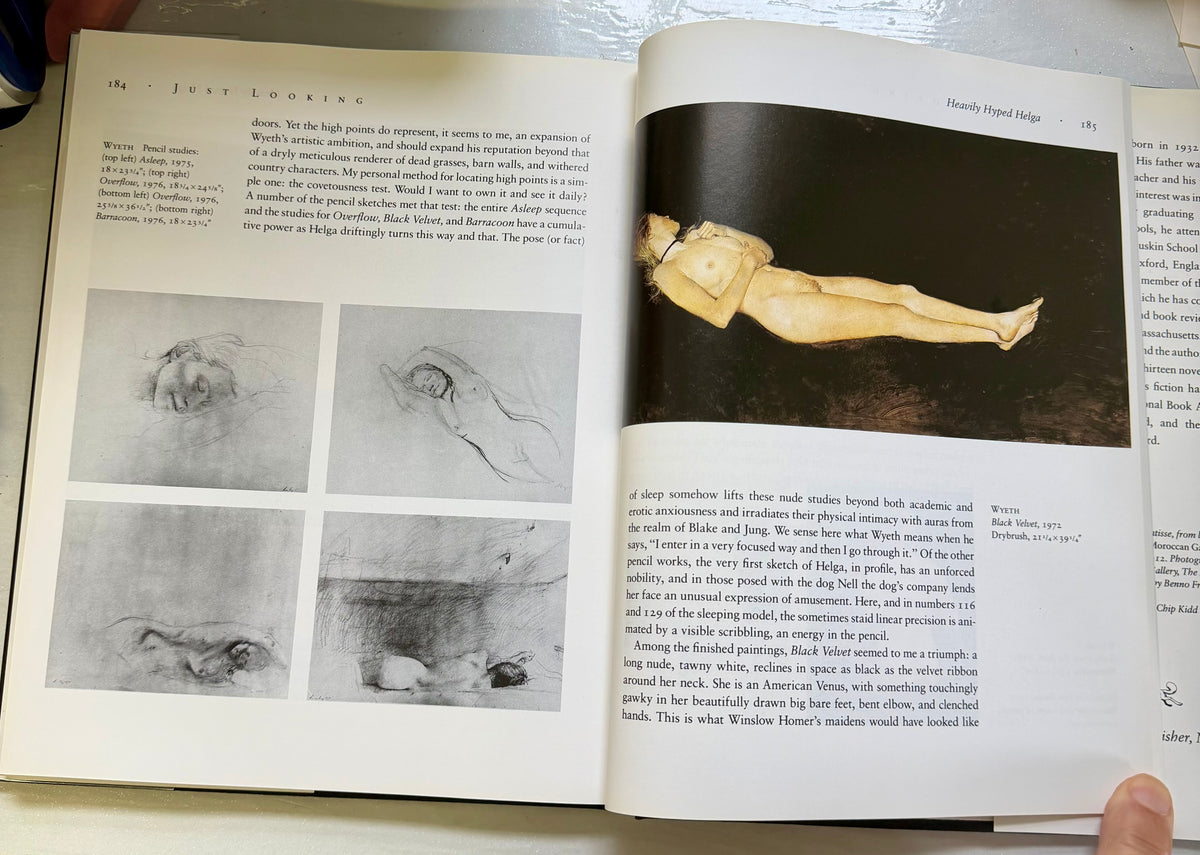 Just Looking: Essays on Art
