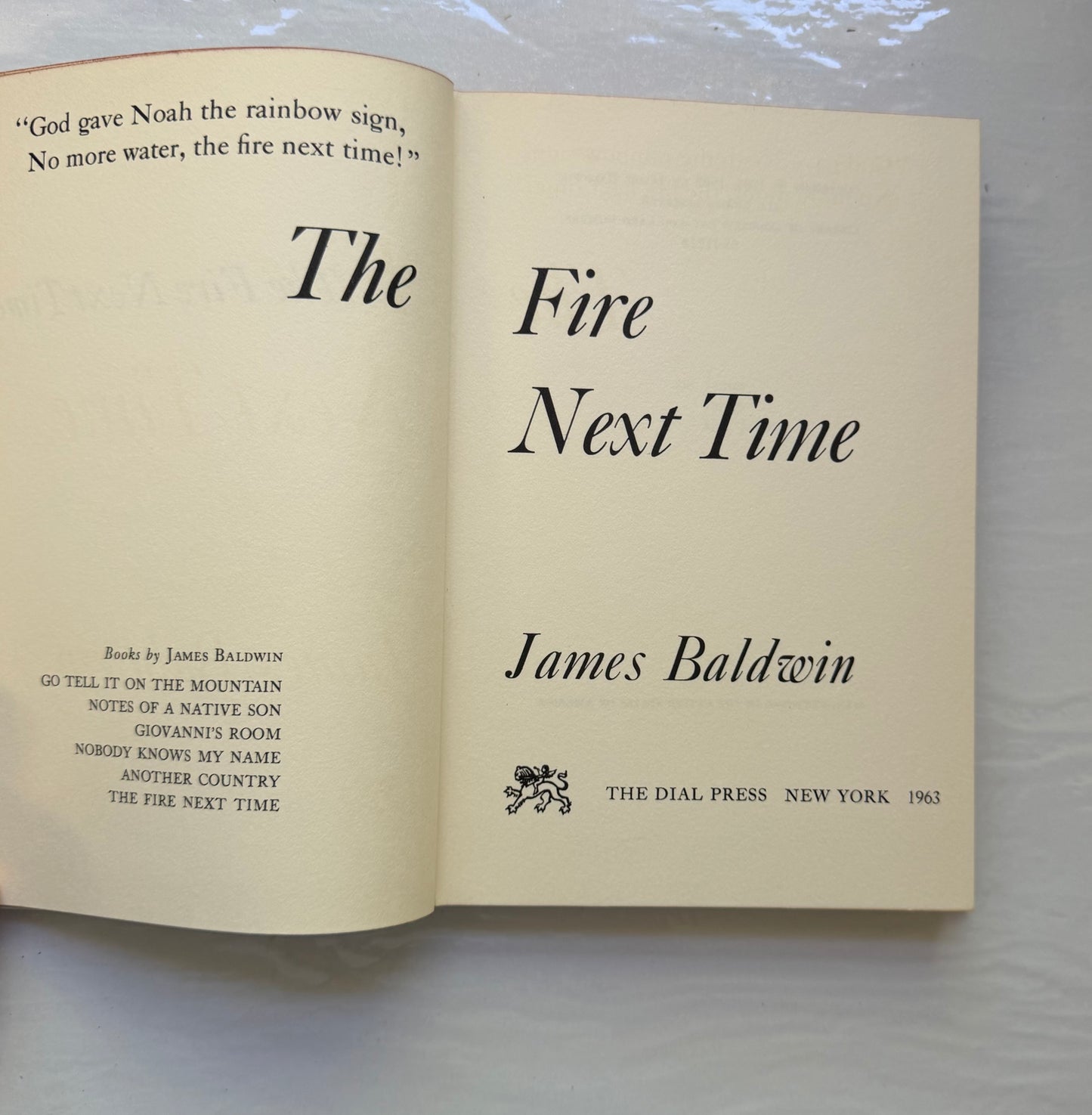 The Fire Next Time