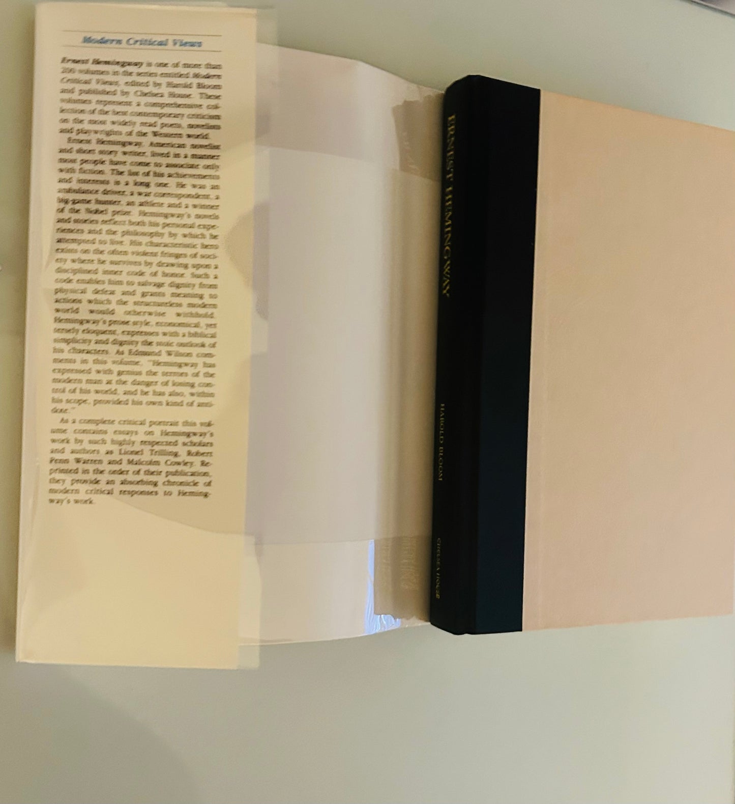 Modern Critical Views: Ernest Hemingway