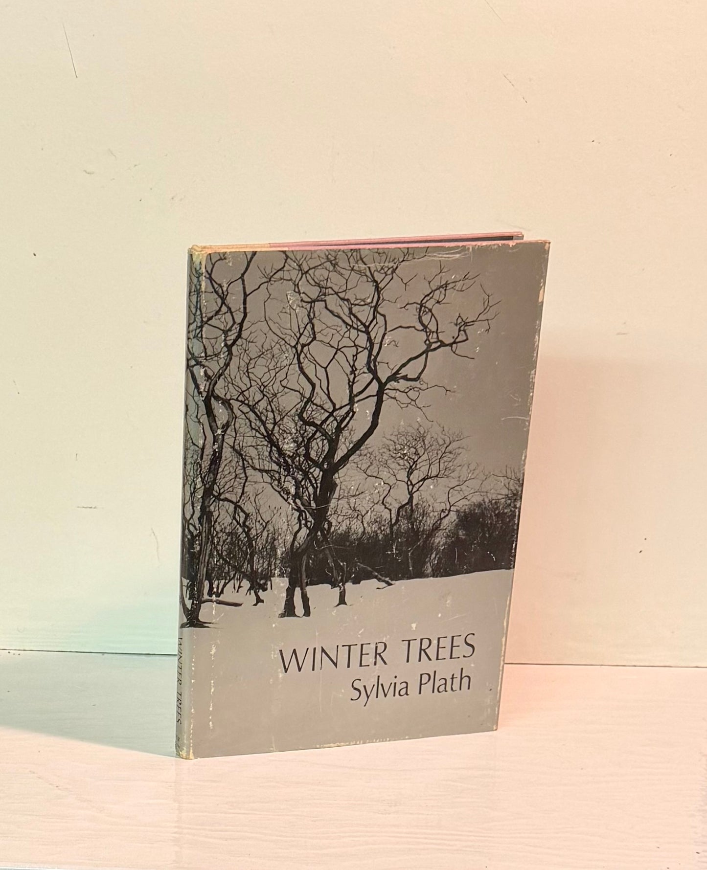 The Winter Trees