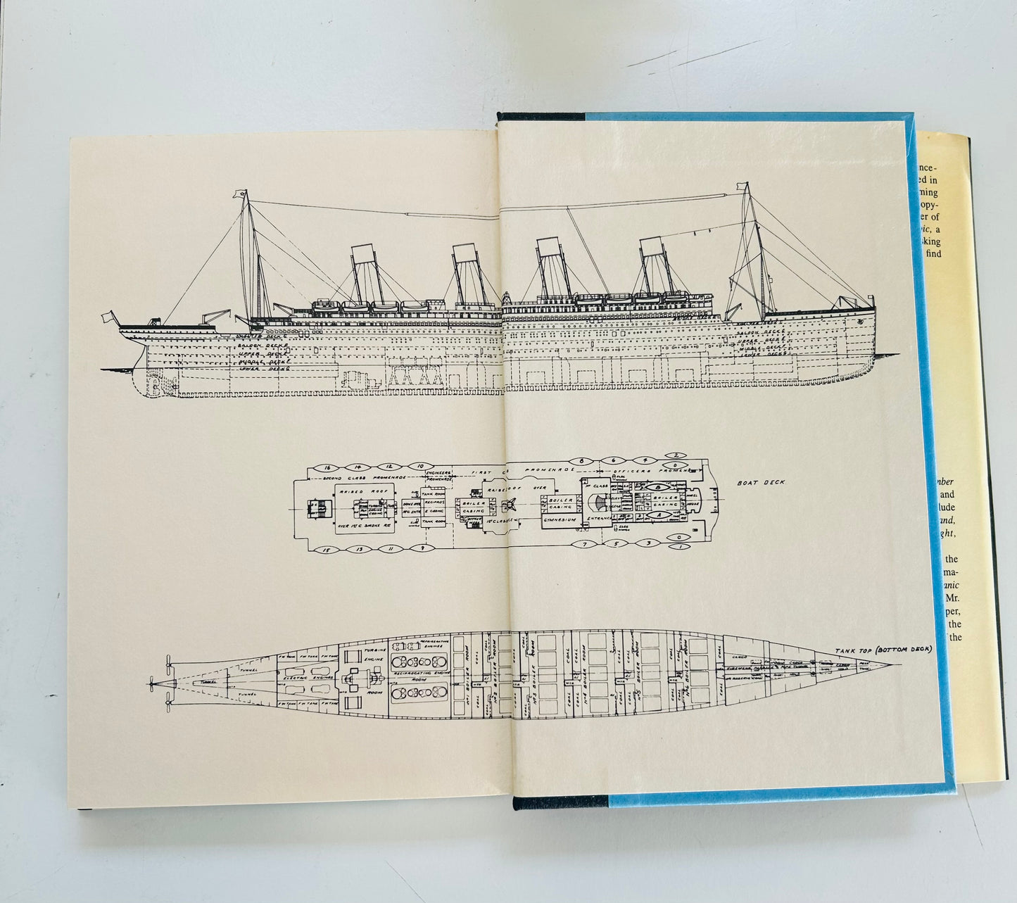 The Night Lives On: Thoughts, Theories and Revelations about the Titanic