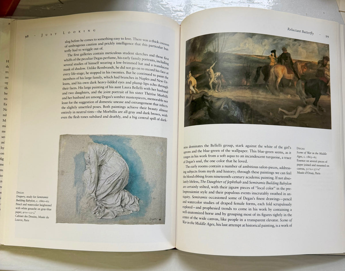 Just Looking: Essays on Art