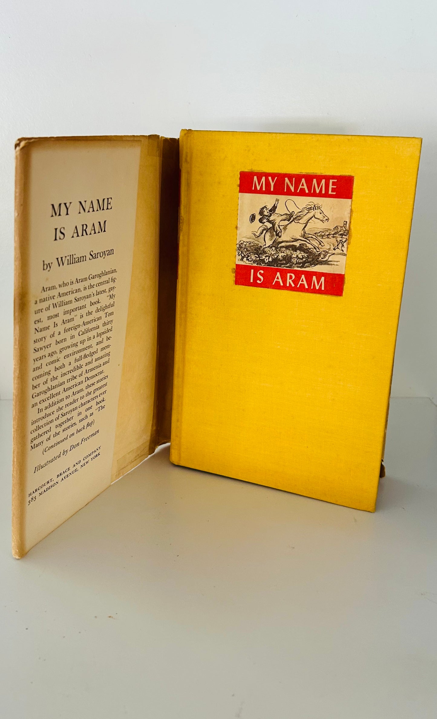 My Name is Aram