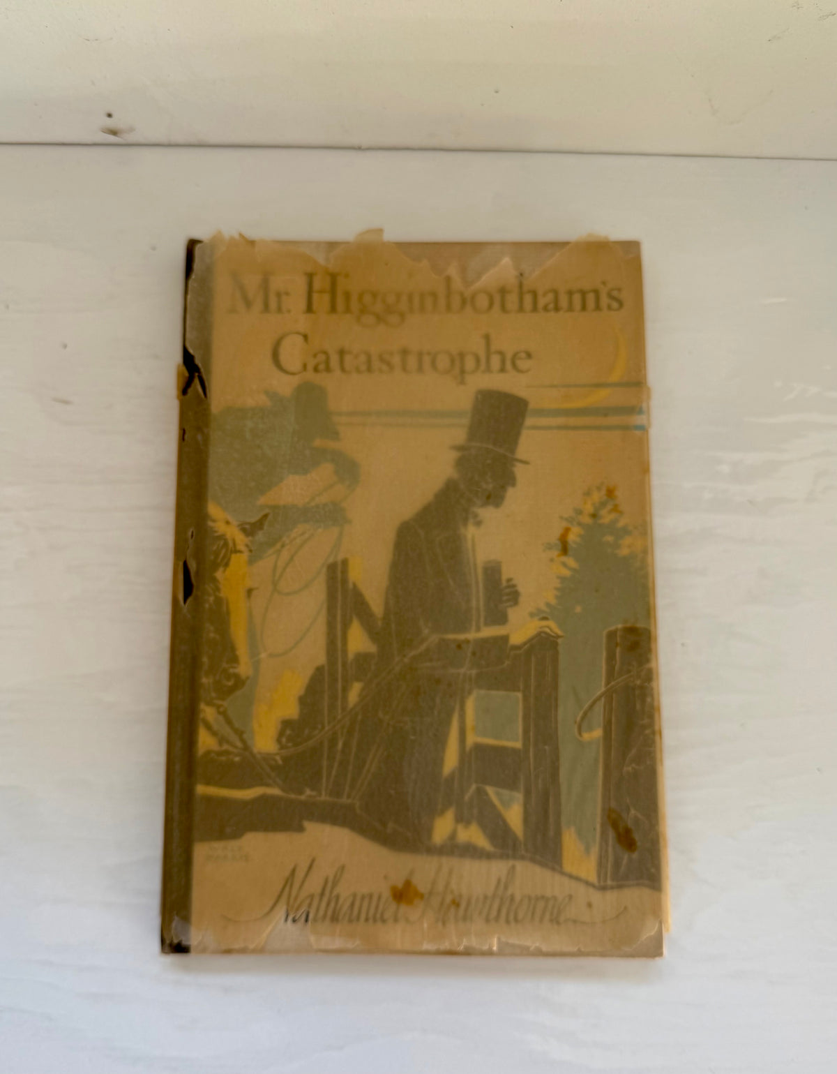 Mr. Higginbotham’s Catastrophe