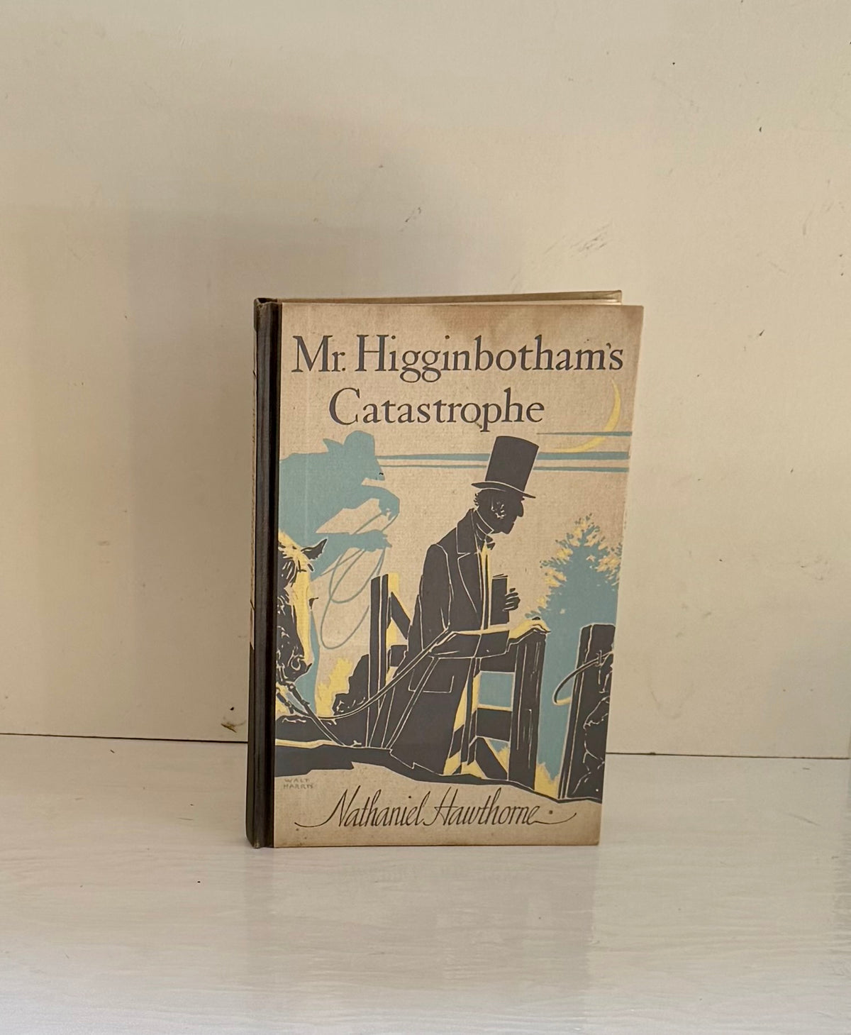 Mr. Higginbotham’s Catastrophe