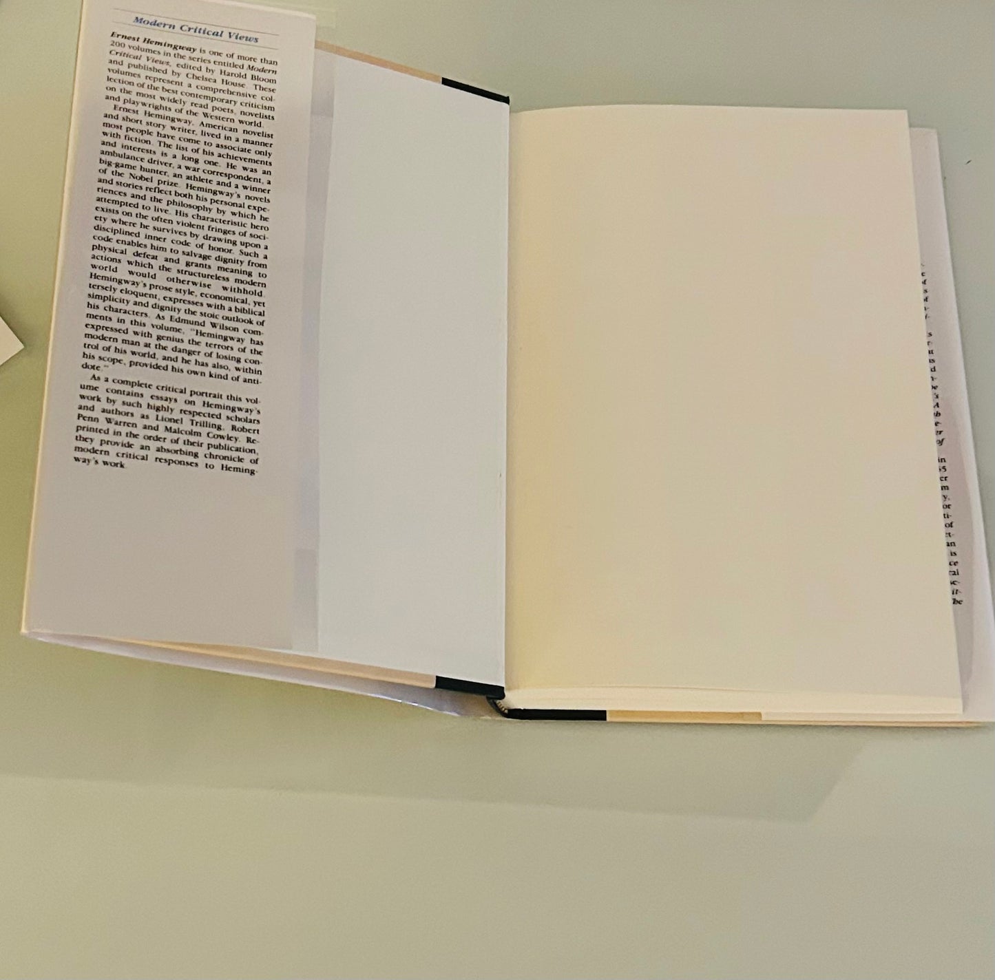 Modern Critical Views: Ernest Hemingway