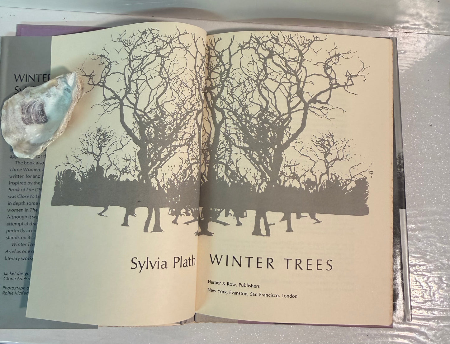 The Winter Trees