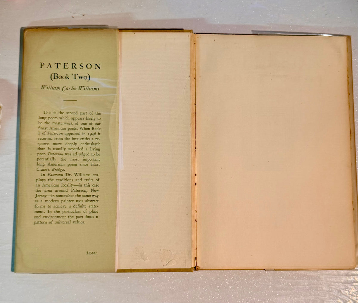 Paterson (book two)