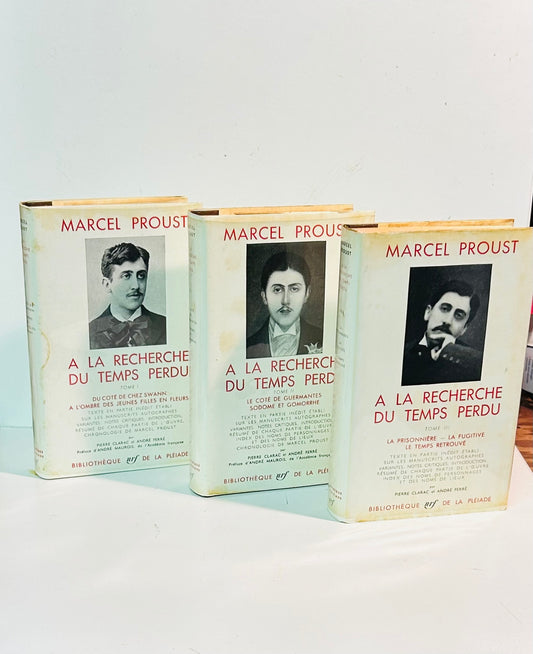 À la Recherche du temps Perdu (3 volume set, in French)