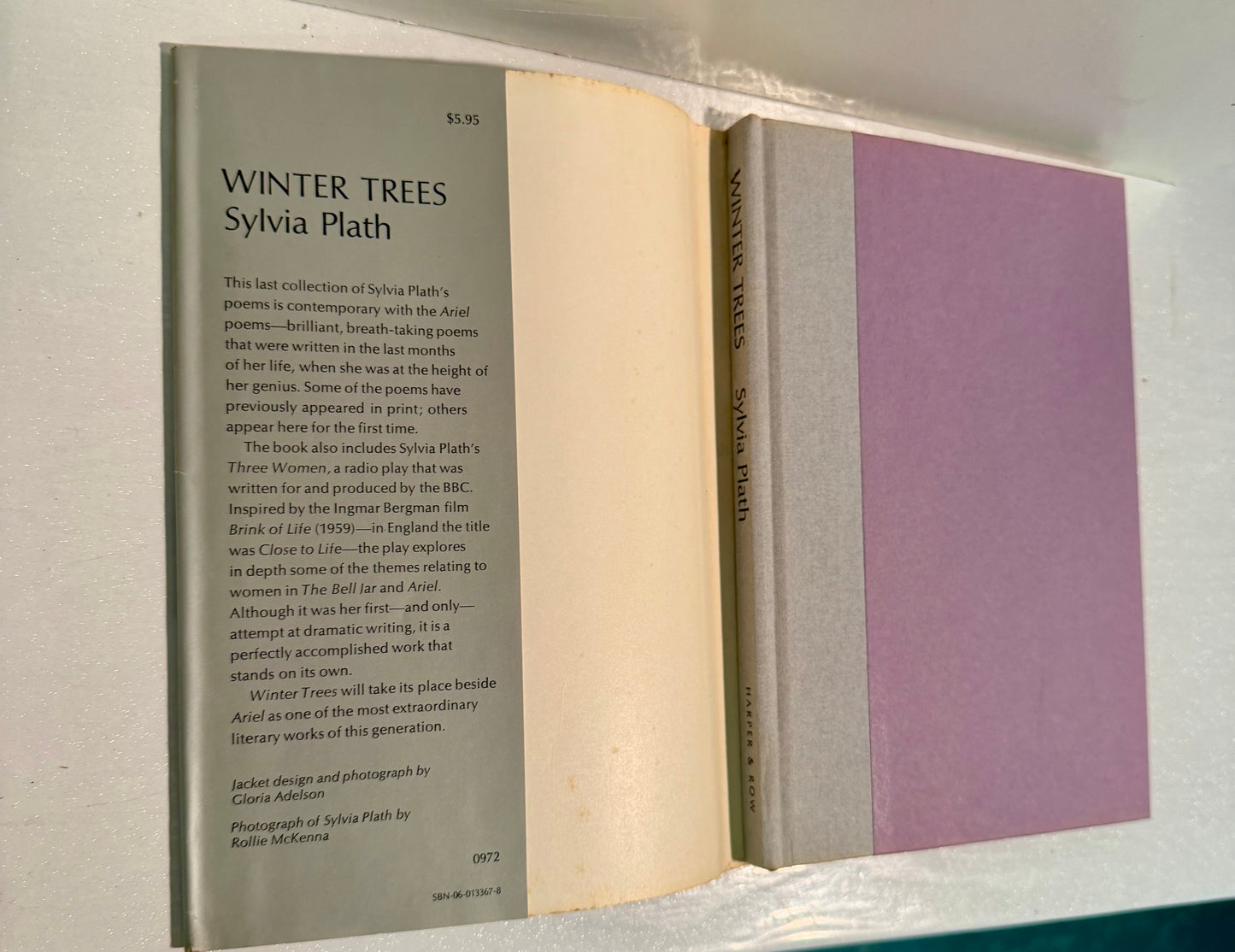 The Winter Trees
