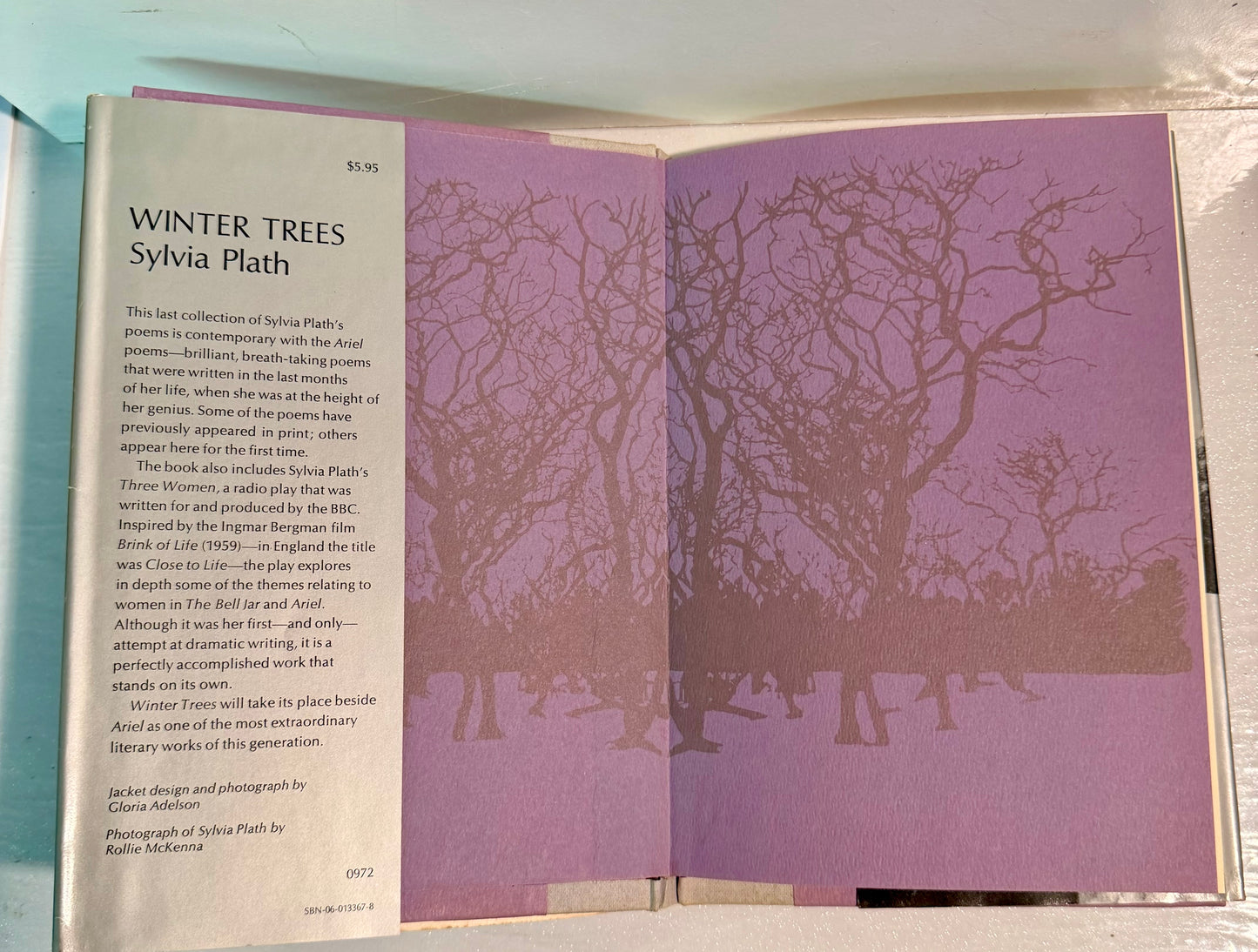 The Winter Trees
